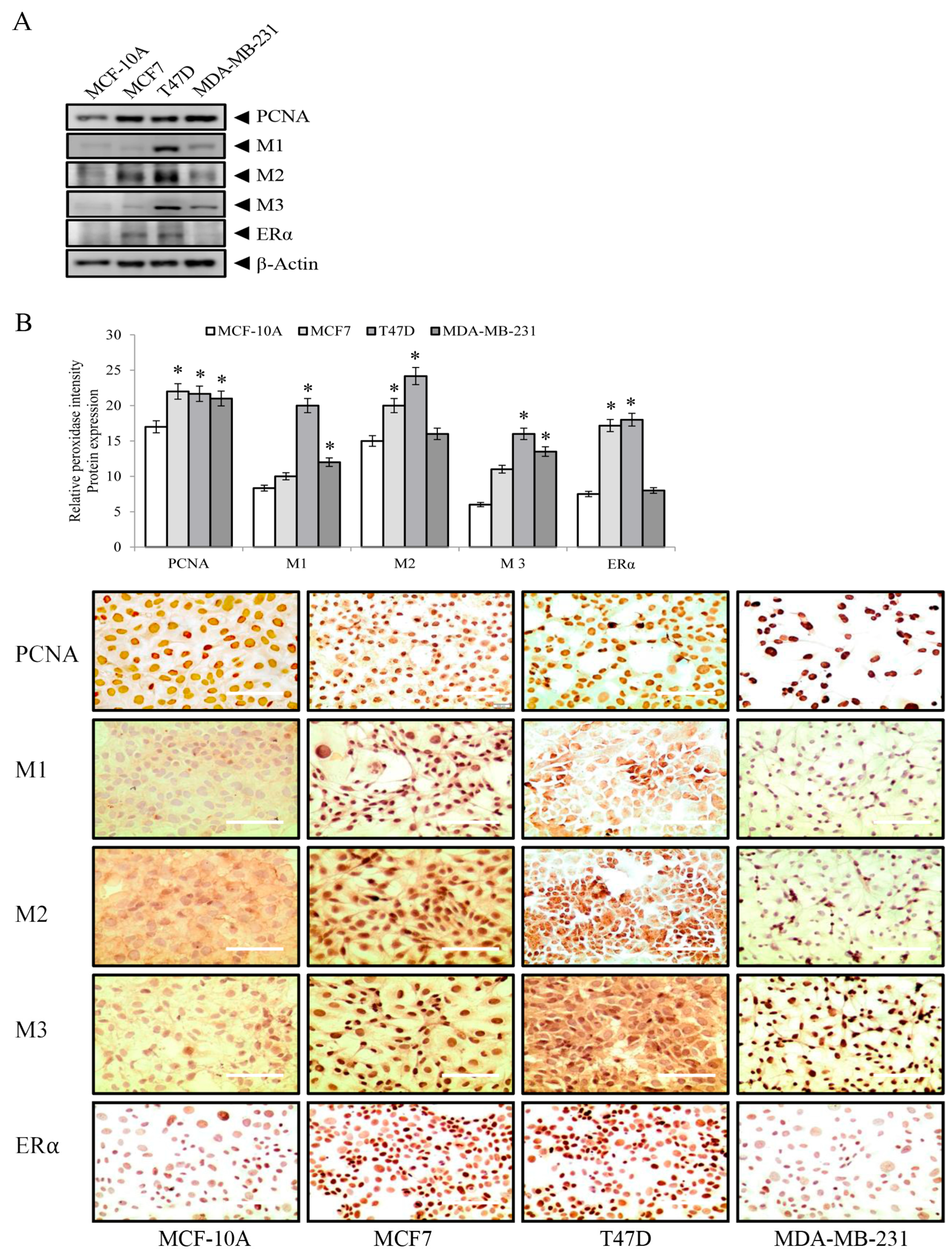 Biology 12 01418 g002