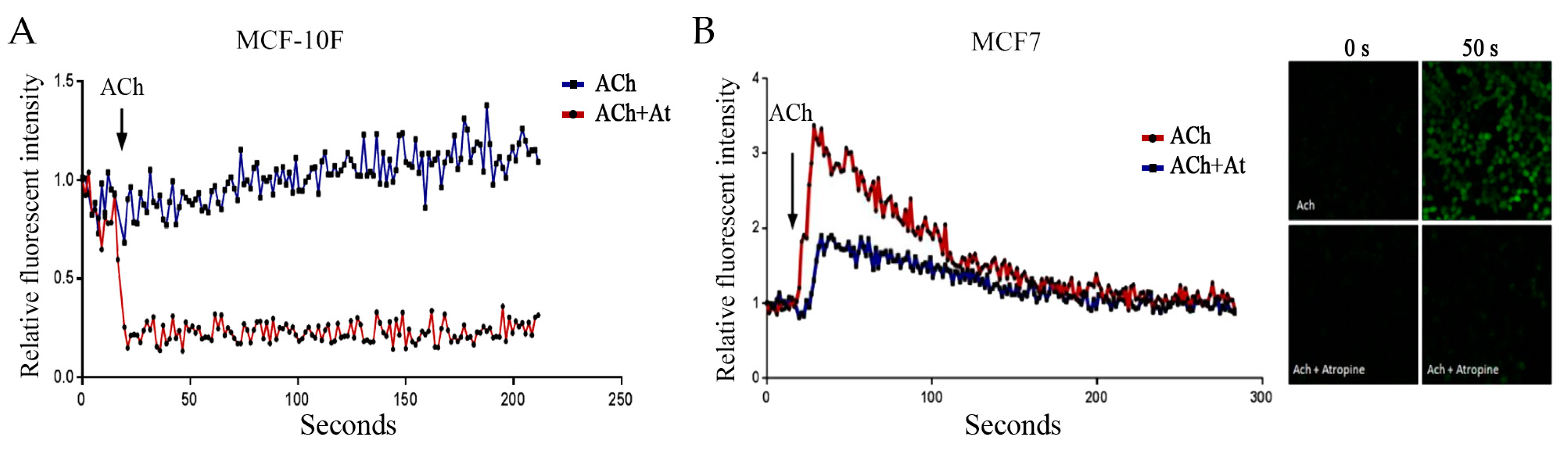 Biology 12 01418 g004