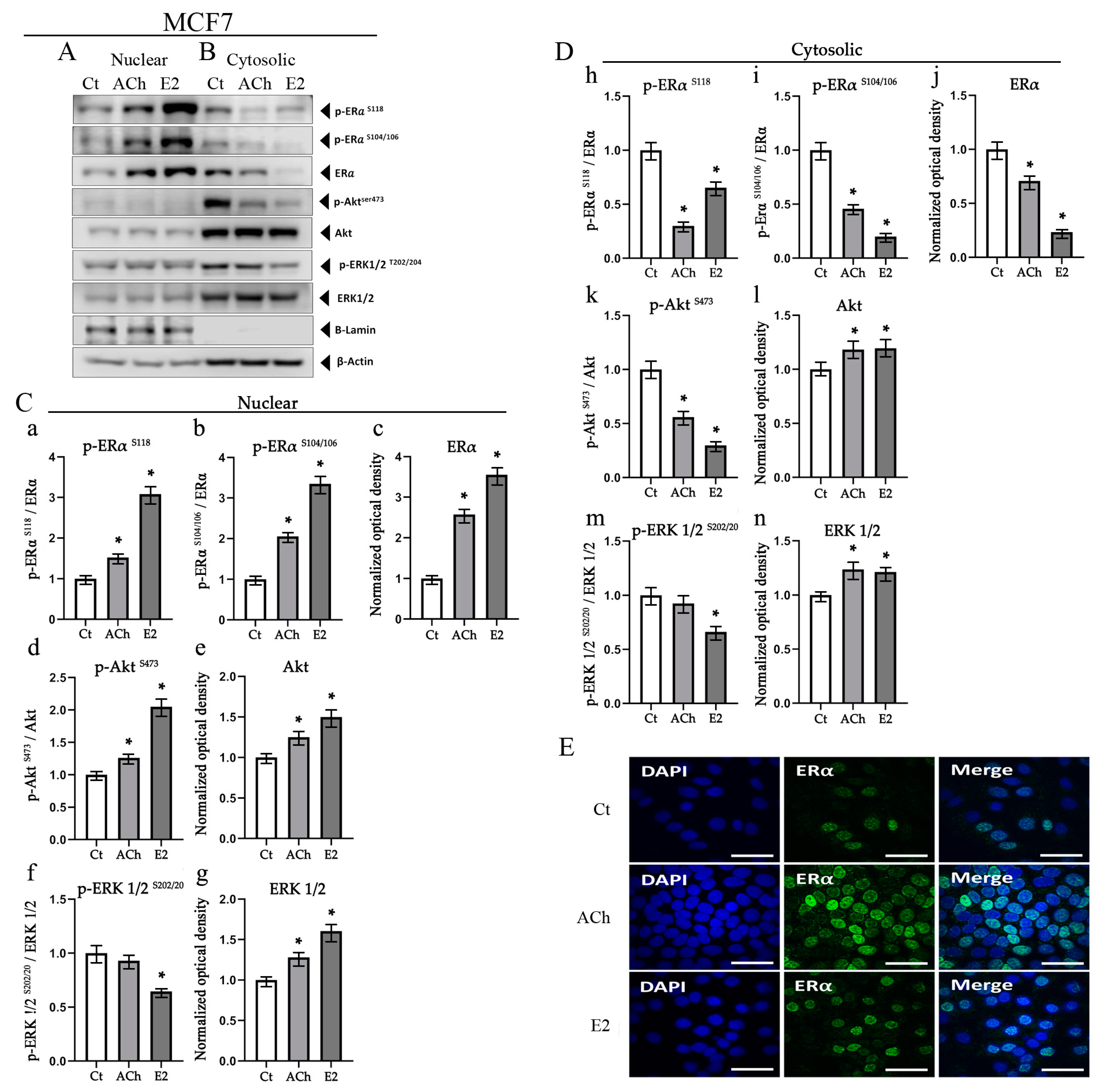 Biology 12 01418 g006