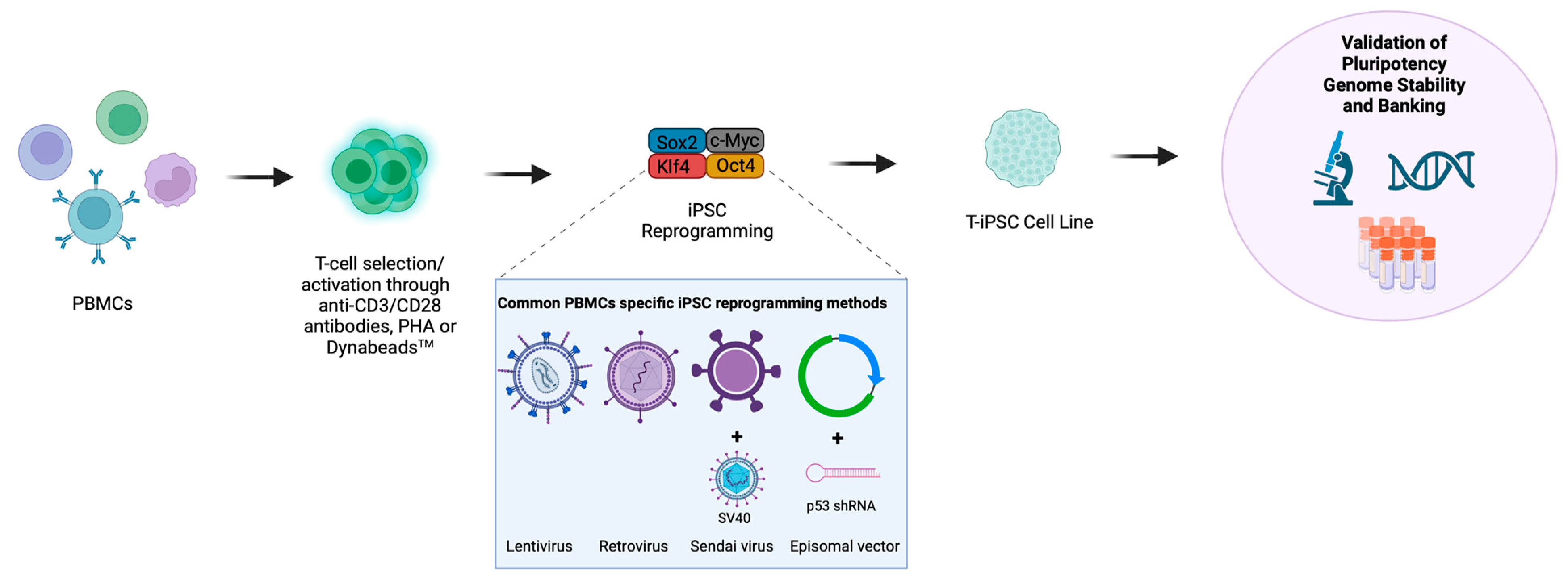 Biology 12 01419 g001