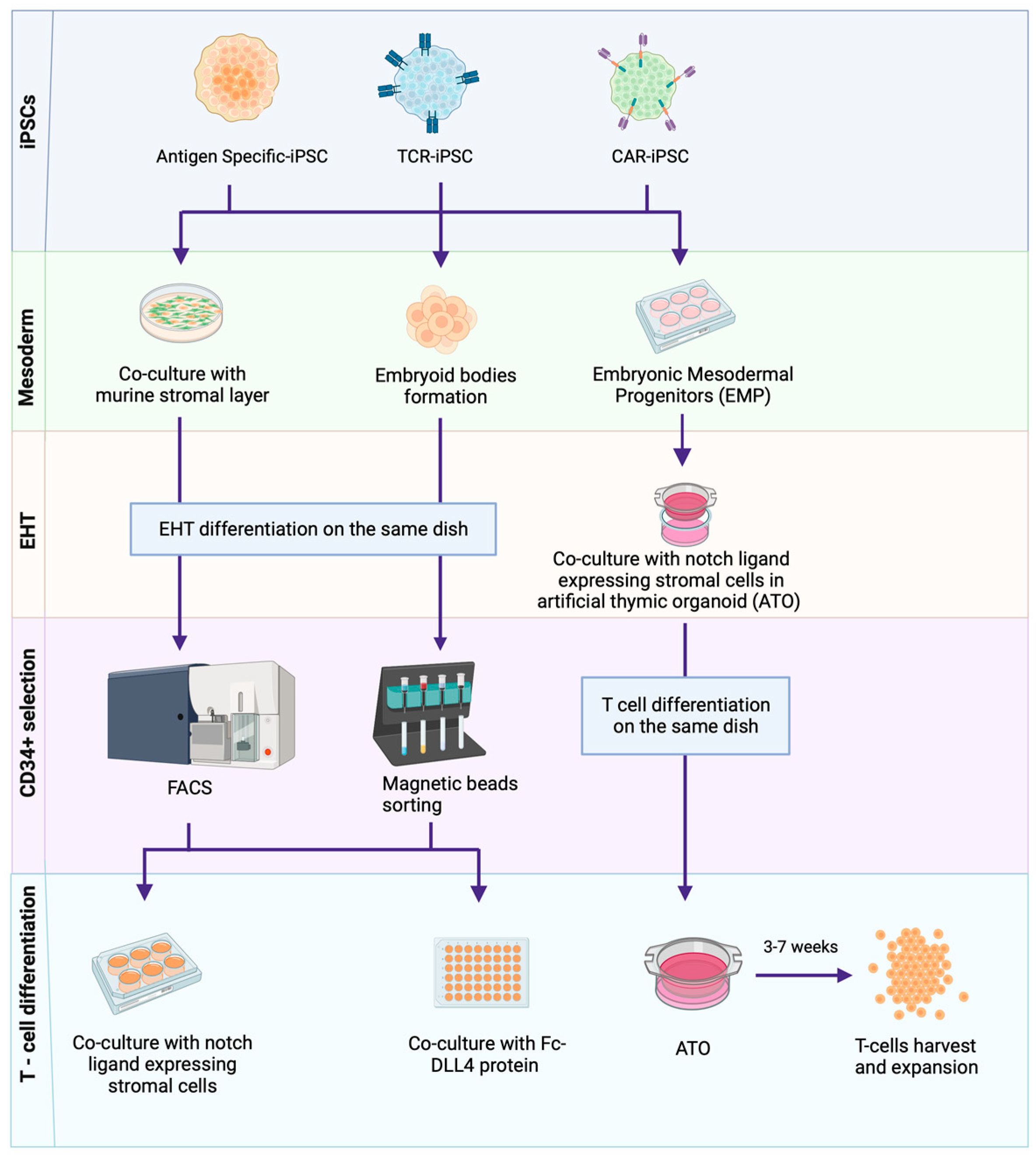 Biology 12 01419 g002