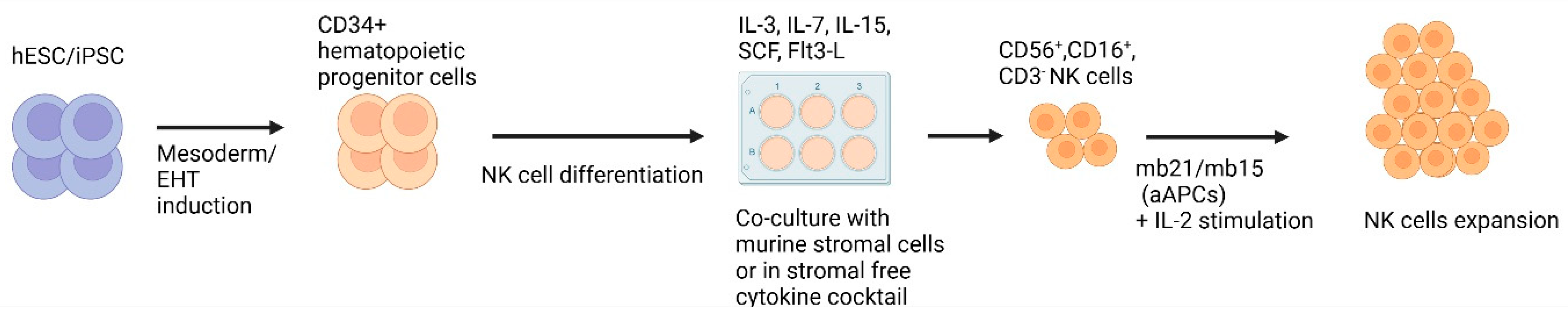 Biology 12 01419 g003