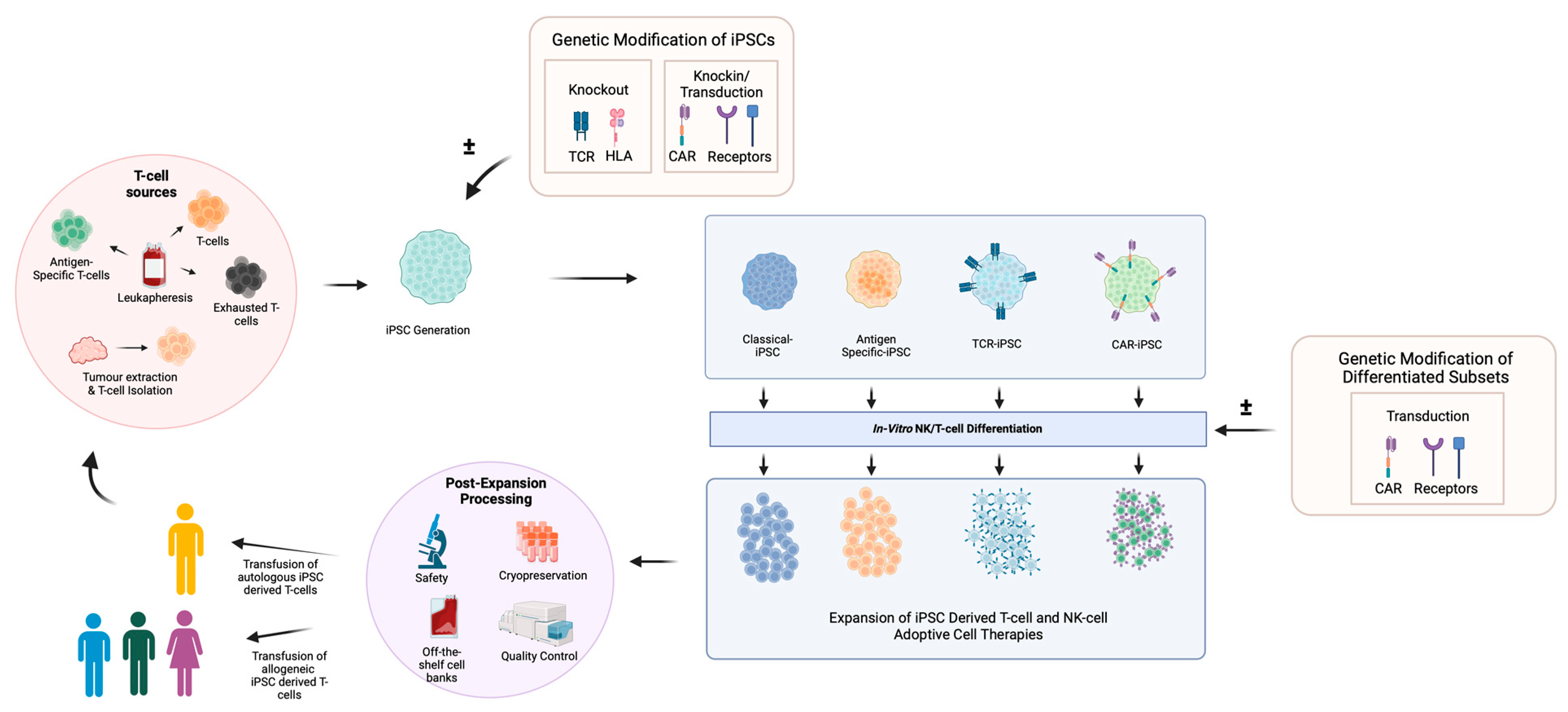Biology 12 01419 g004