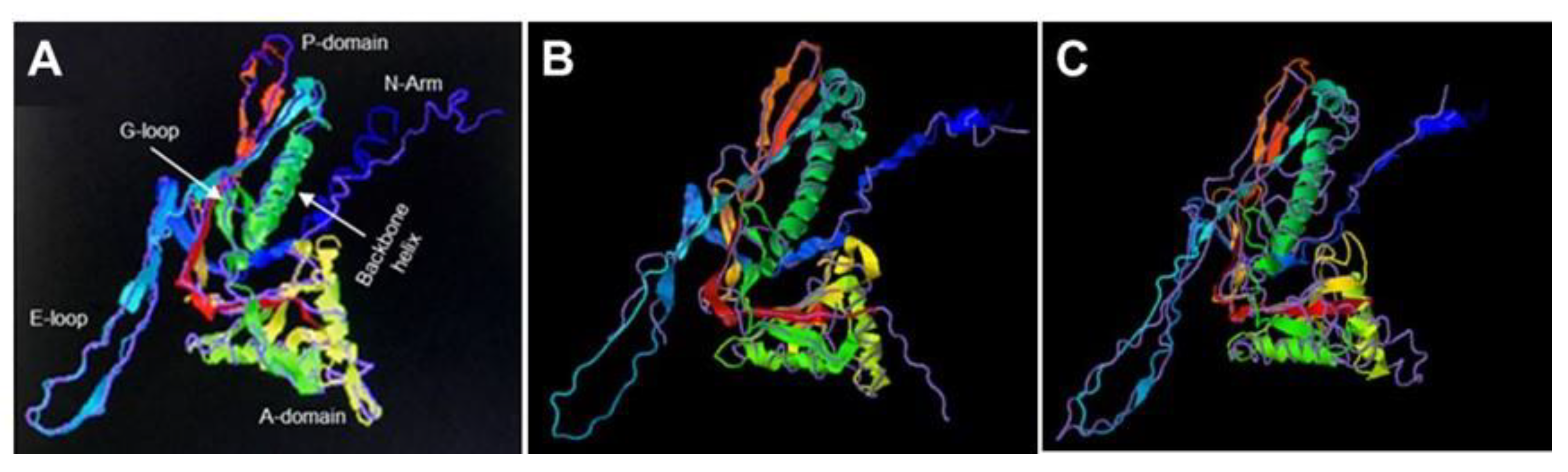 Biology 12 01421 g003