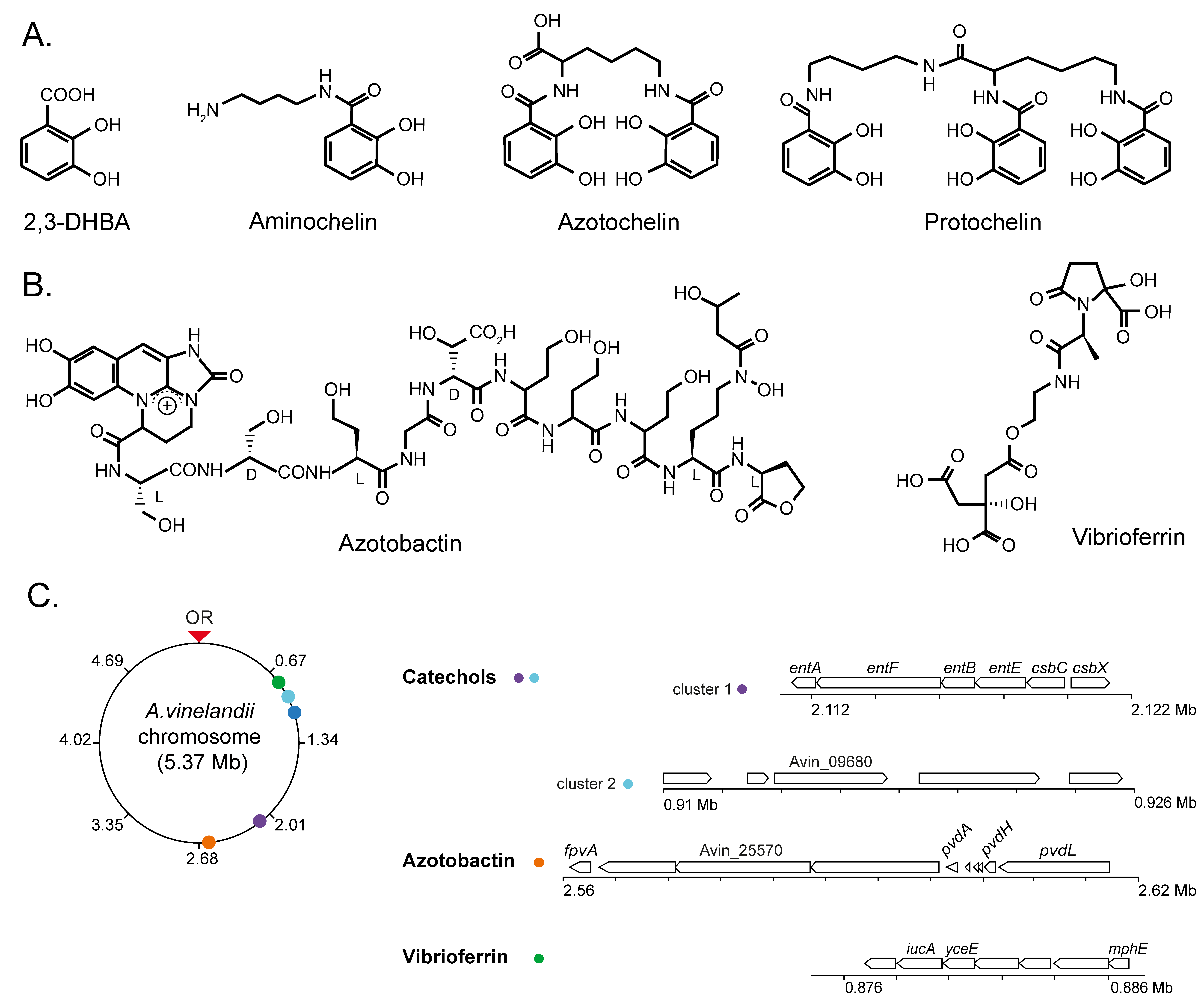 Biology 12 01423 g001 Biology 12 01423 g001