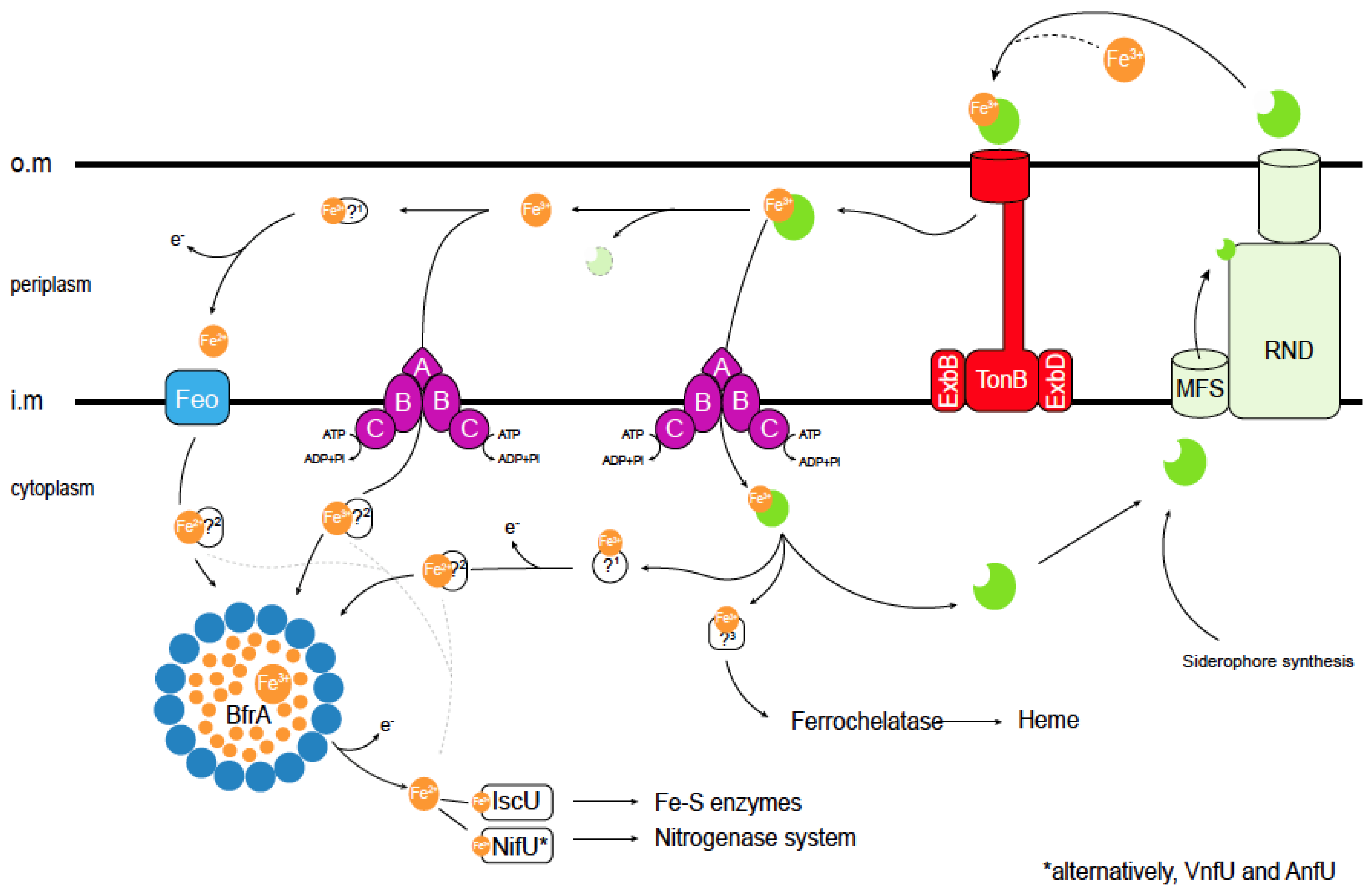Biology 12 01423 g002 Biology 12 01423 g002