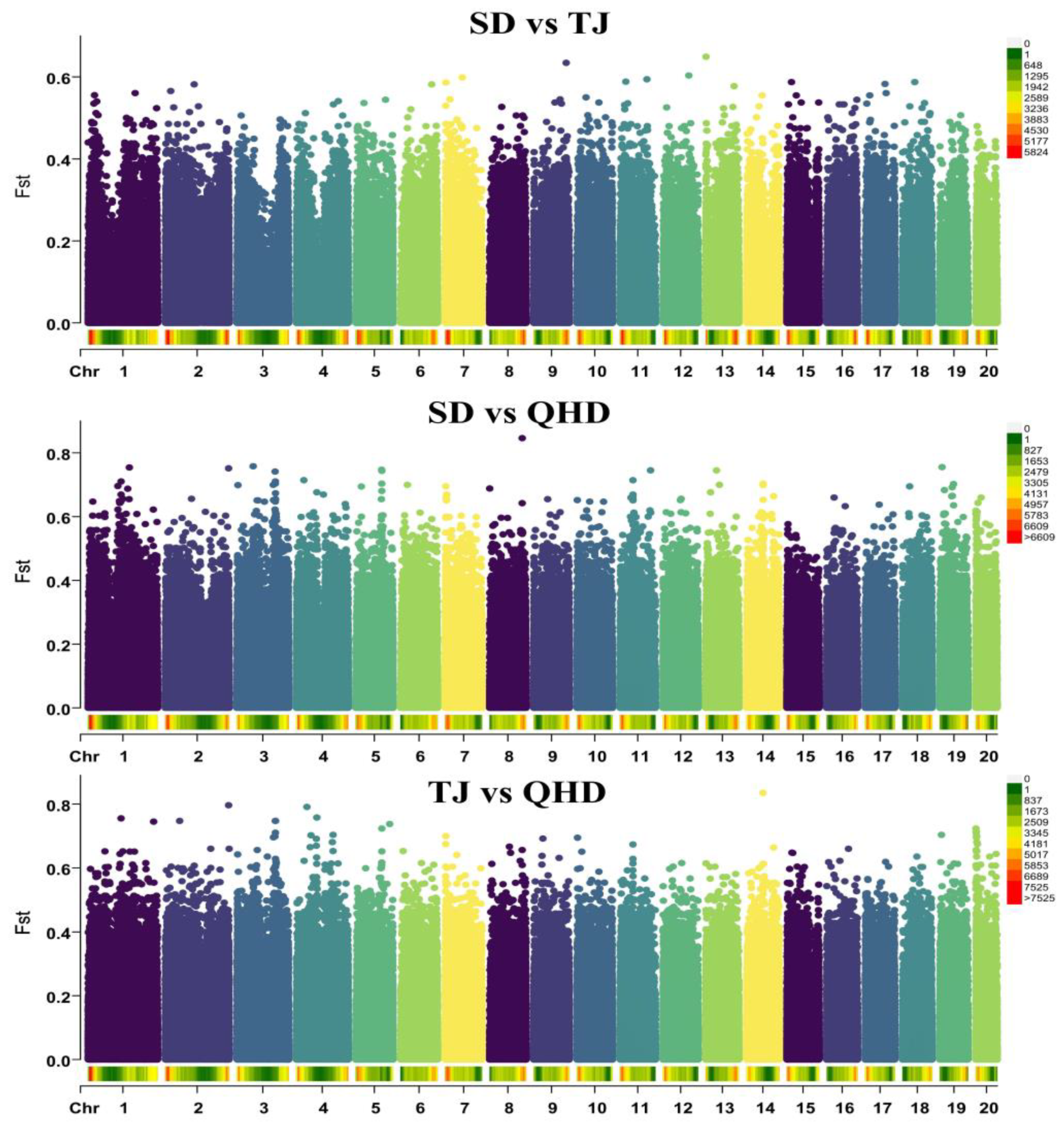 Biology 12 01427 g003 Biology 12 01427 g003