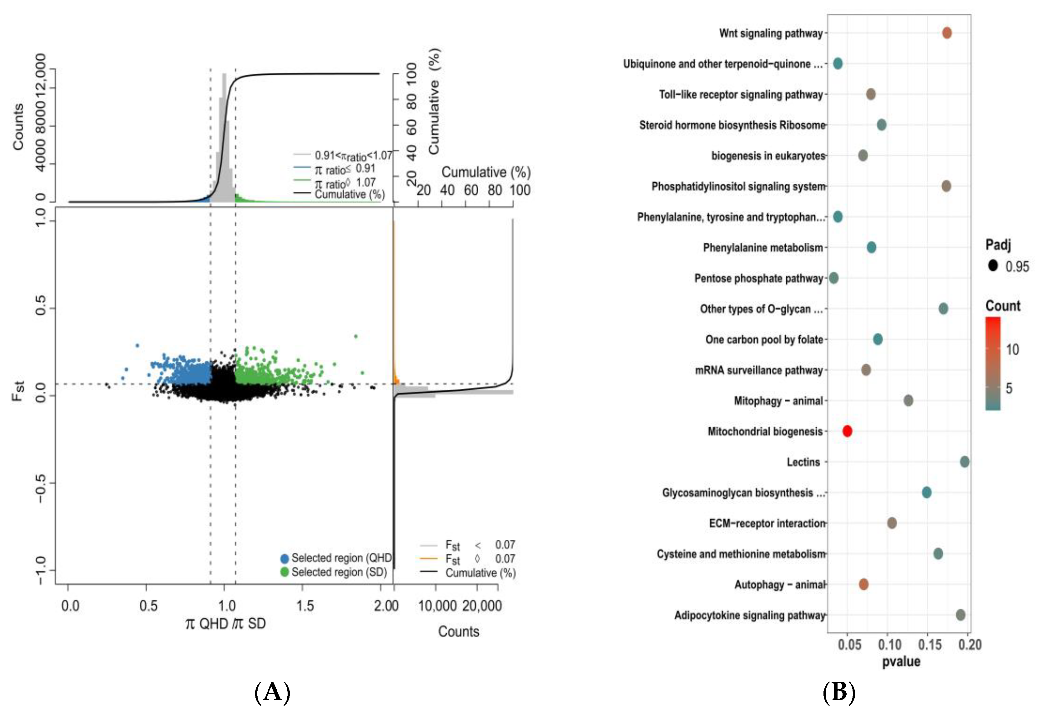 Biology 12 01427 g007 Biology 12 01427 g007