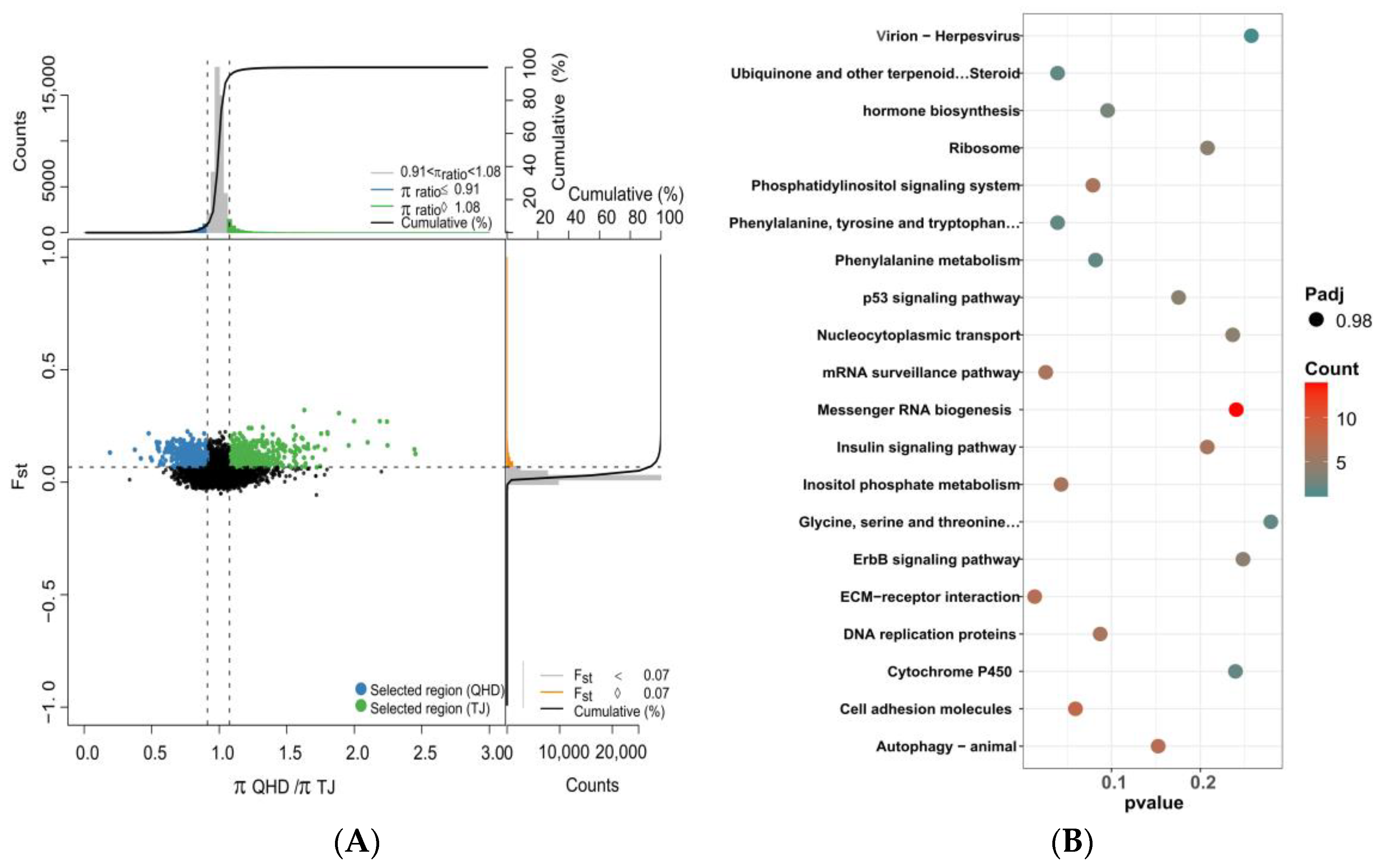 Biology 12 01427 g008 Biology 12 01427 g008