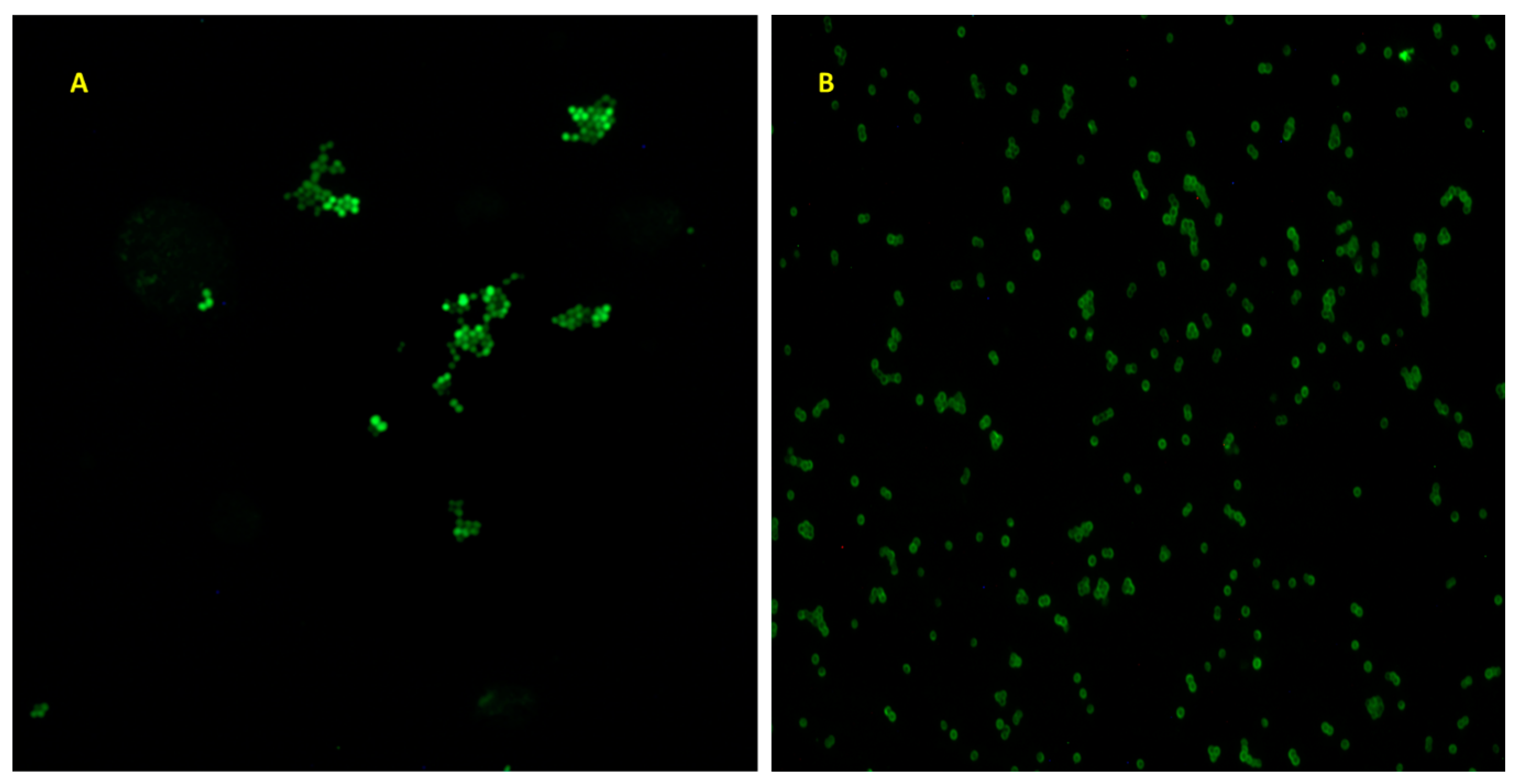 Biology 12 01432 g002 Biology 12 01432 g002