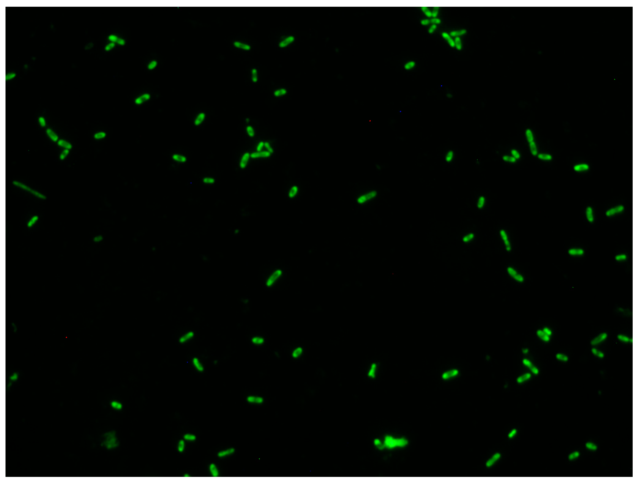 Biology 12 01432 g005 Biology 12 01432 g005