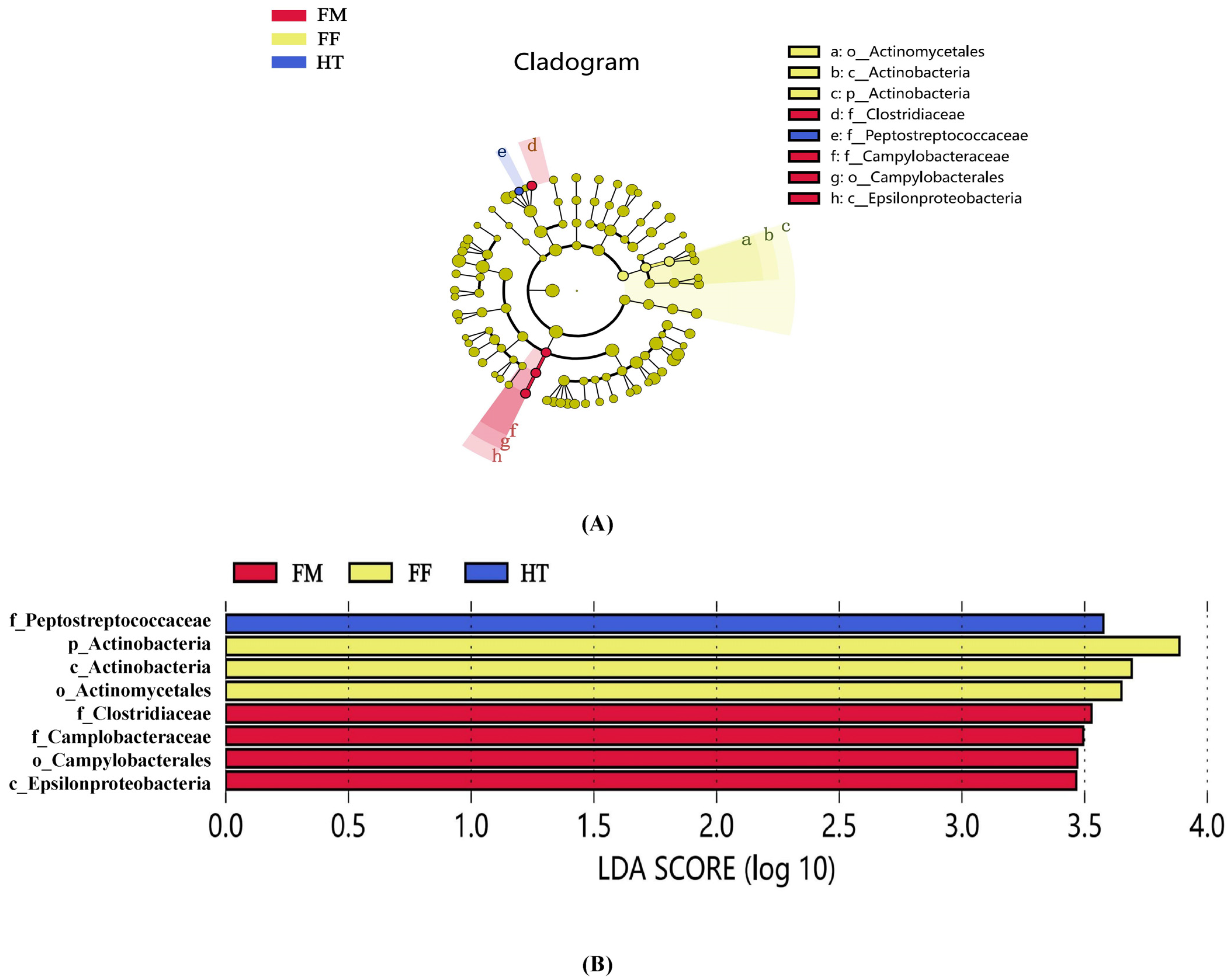 Biology 12 01433 g003