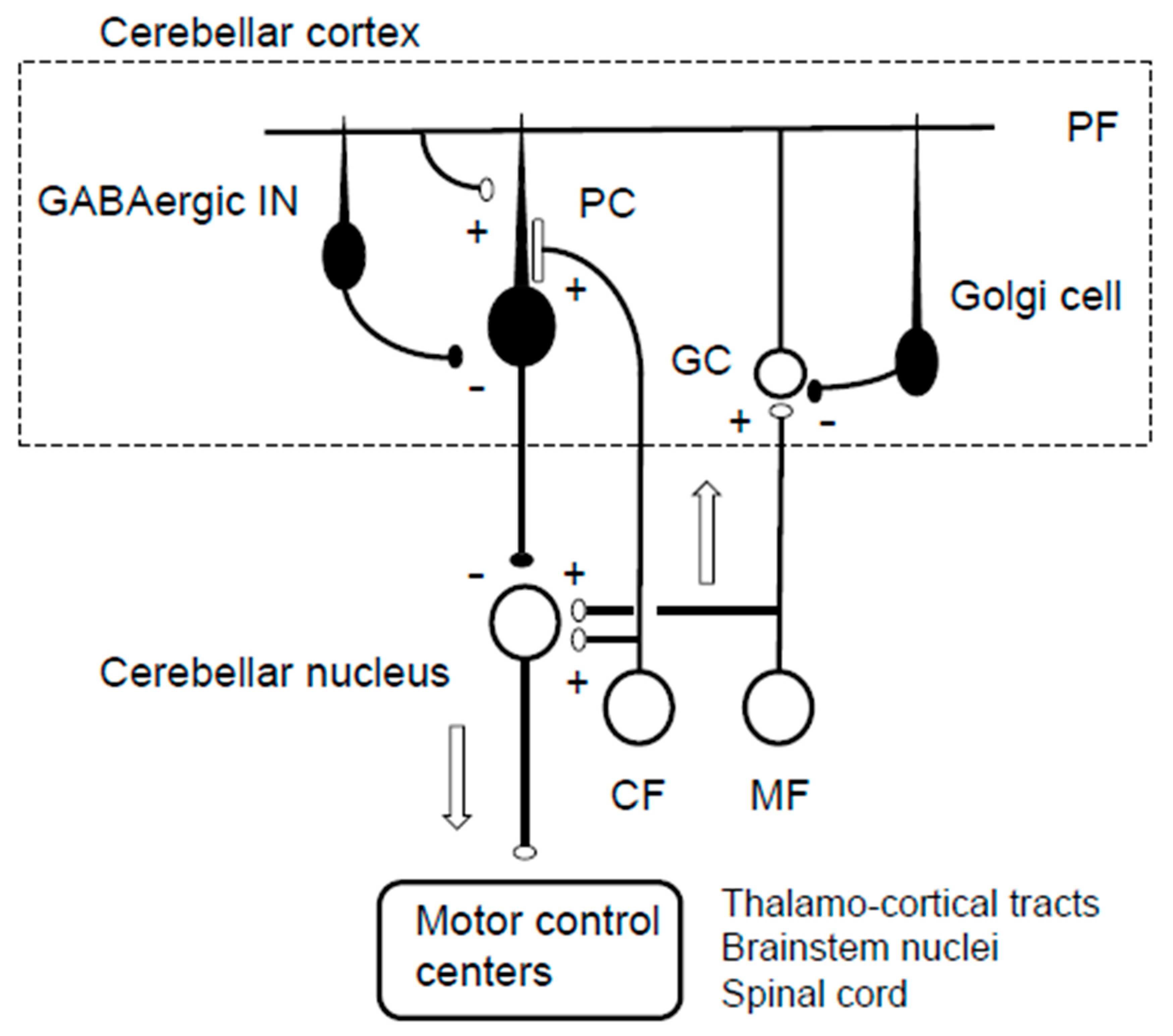 Biology 12 01435 g001 Biology 12 01435 g001