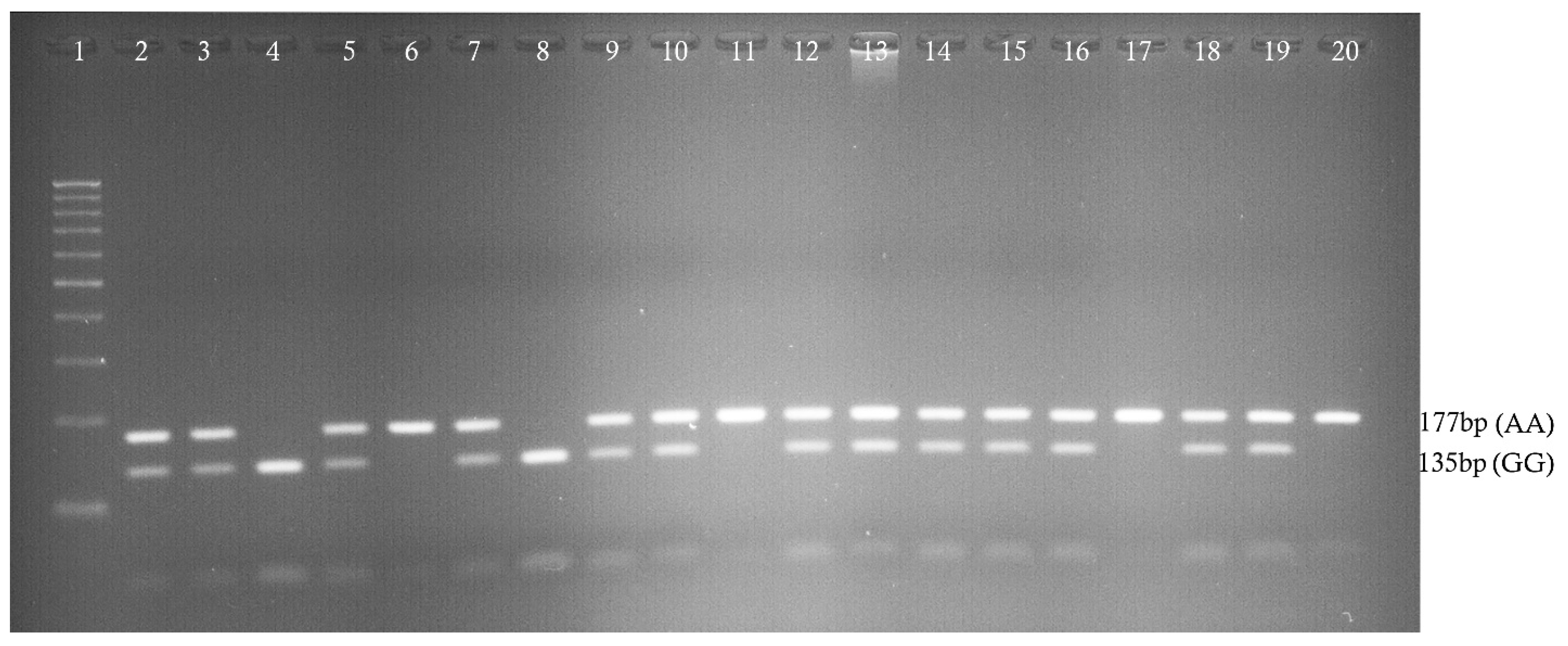 Biology 12 01439 g001