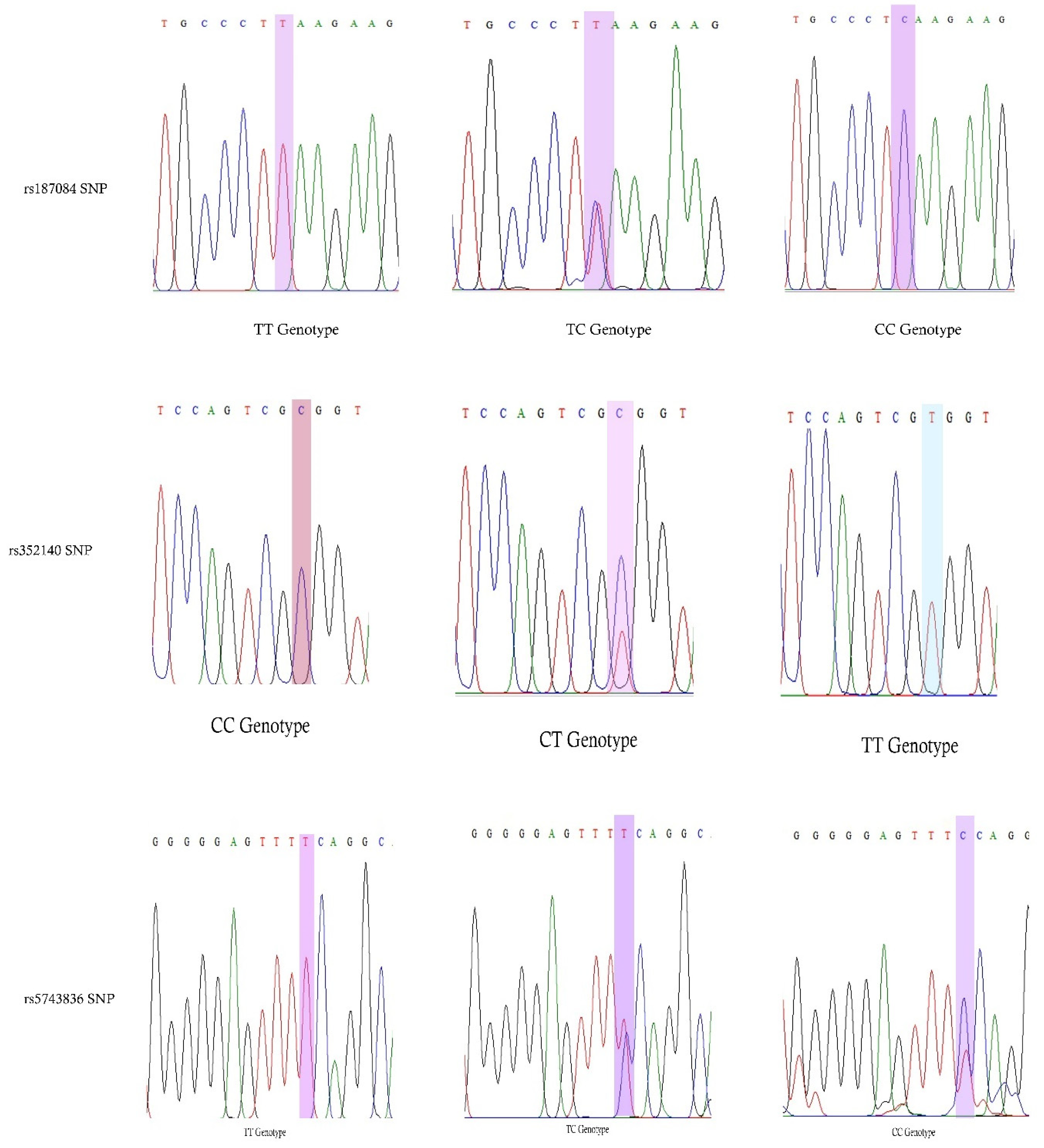Biology 12 01439 g002