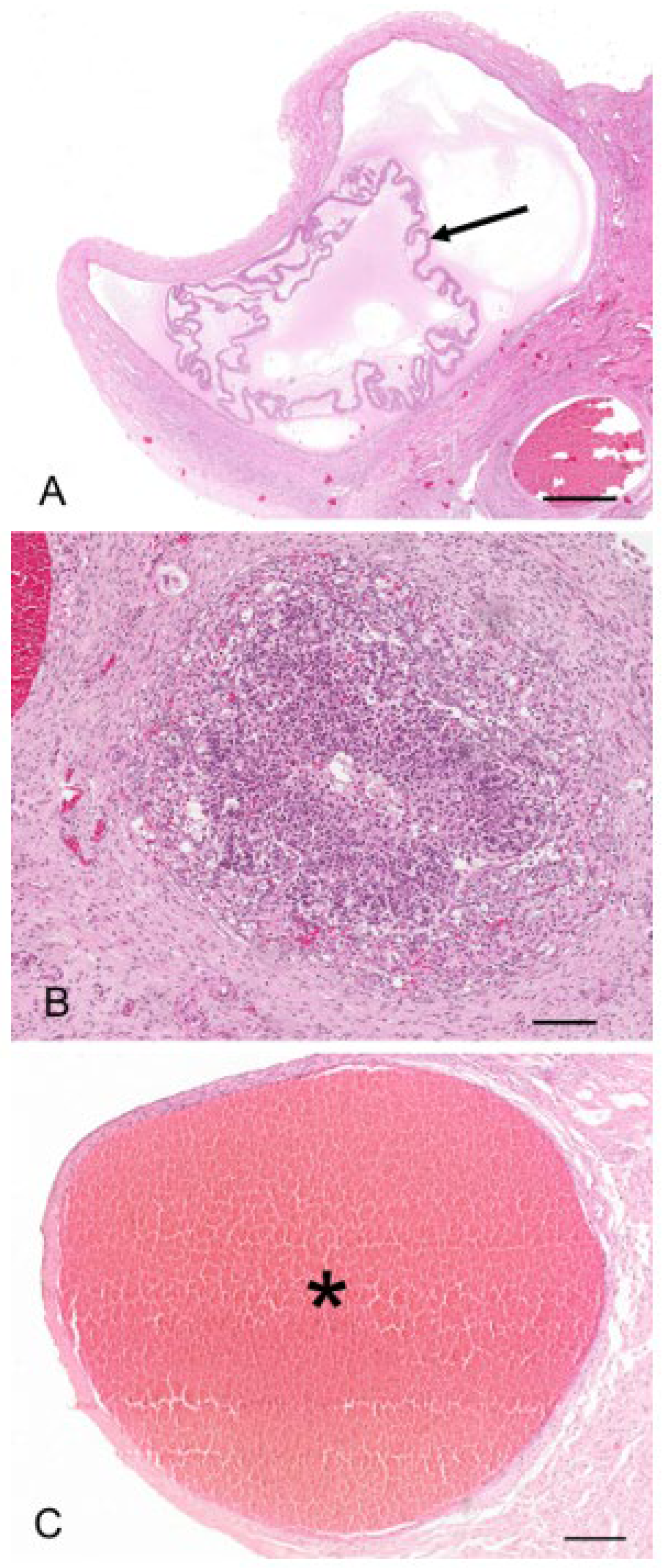 Biology 12 01445 g004