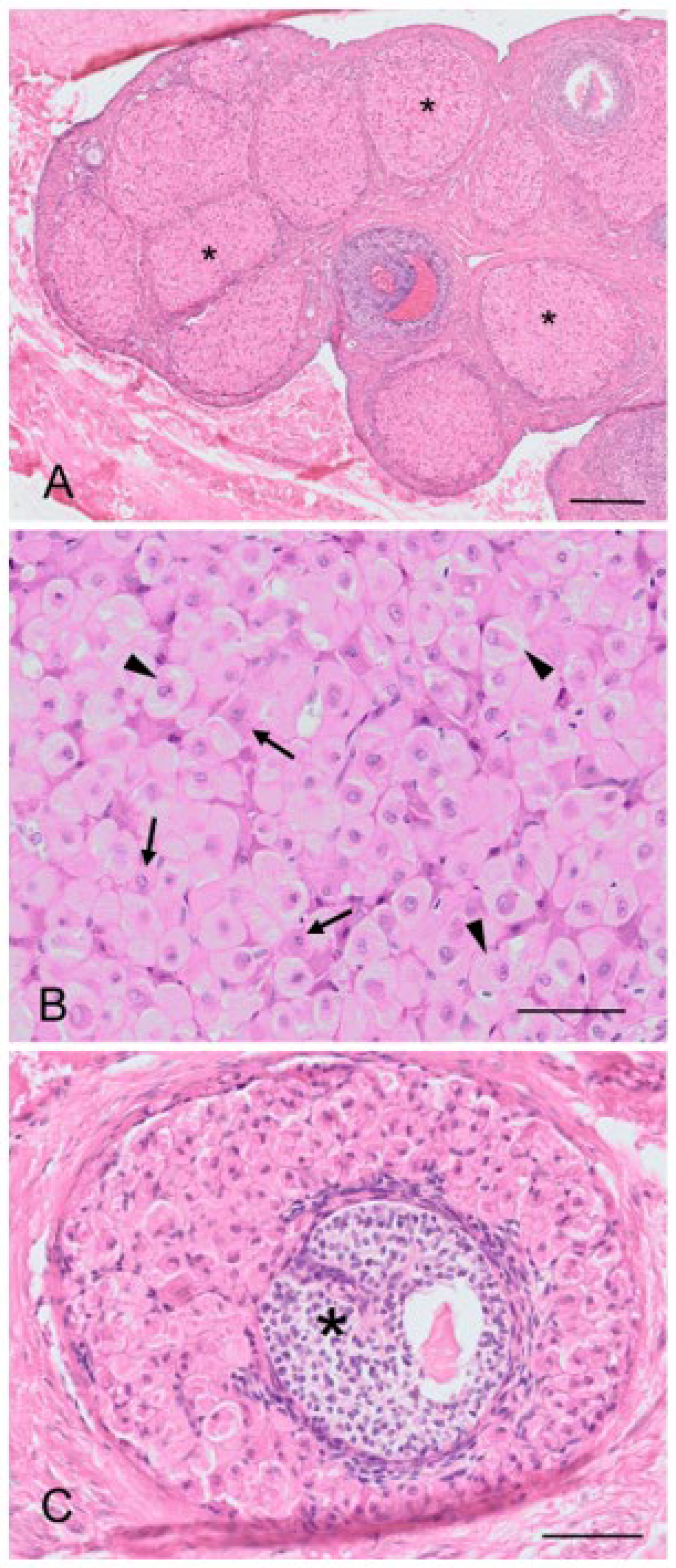 Biology 12 01445 g005