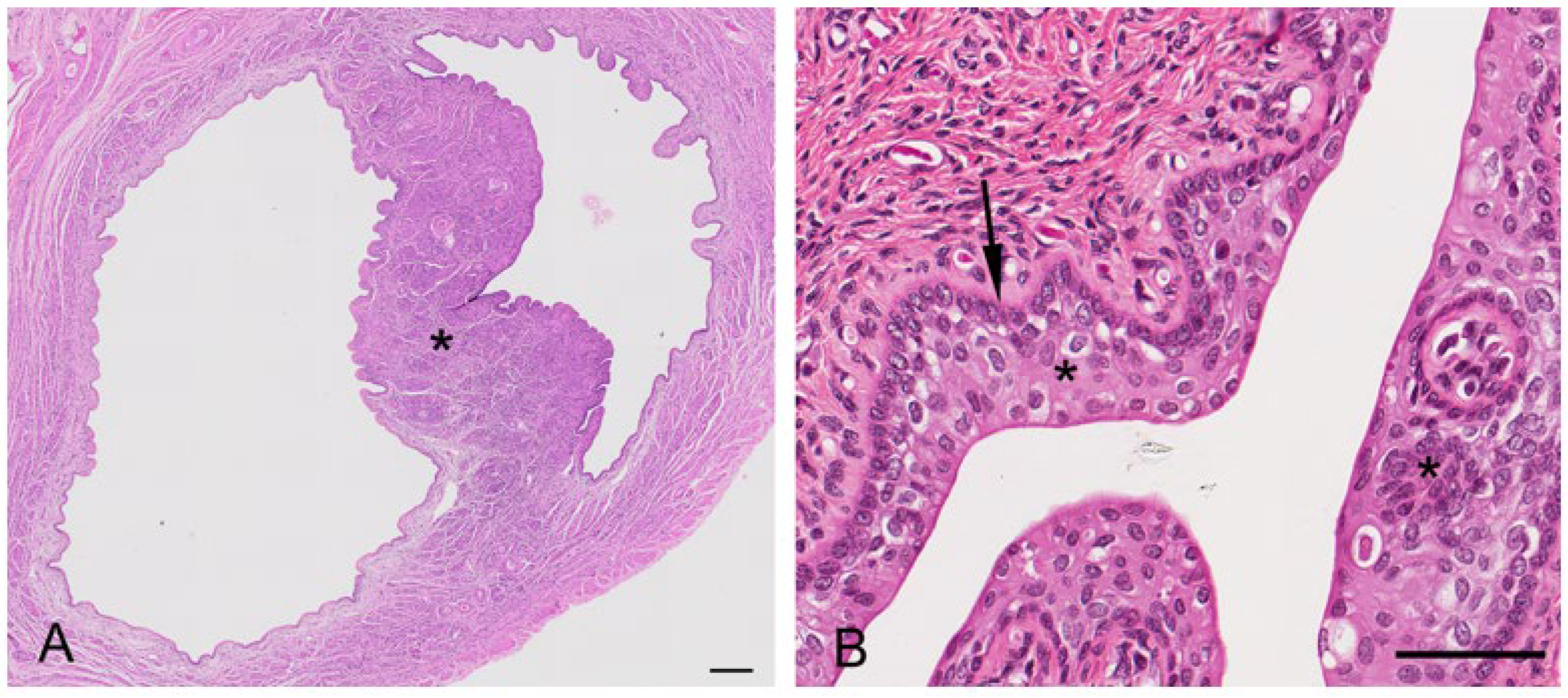 Biology 12 01445 g007