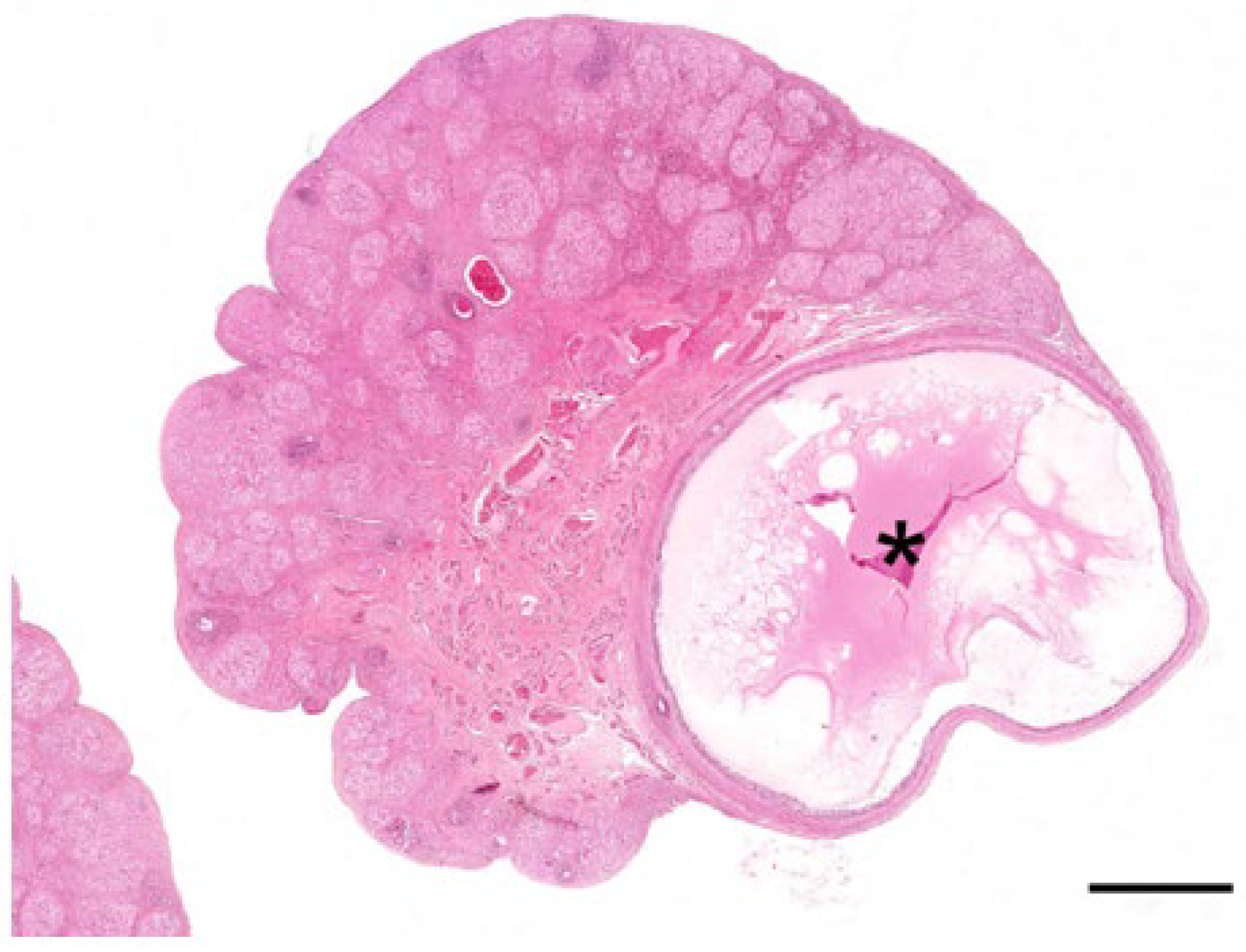 Biology 12 01445 g009