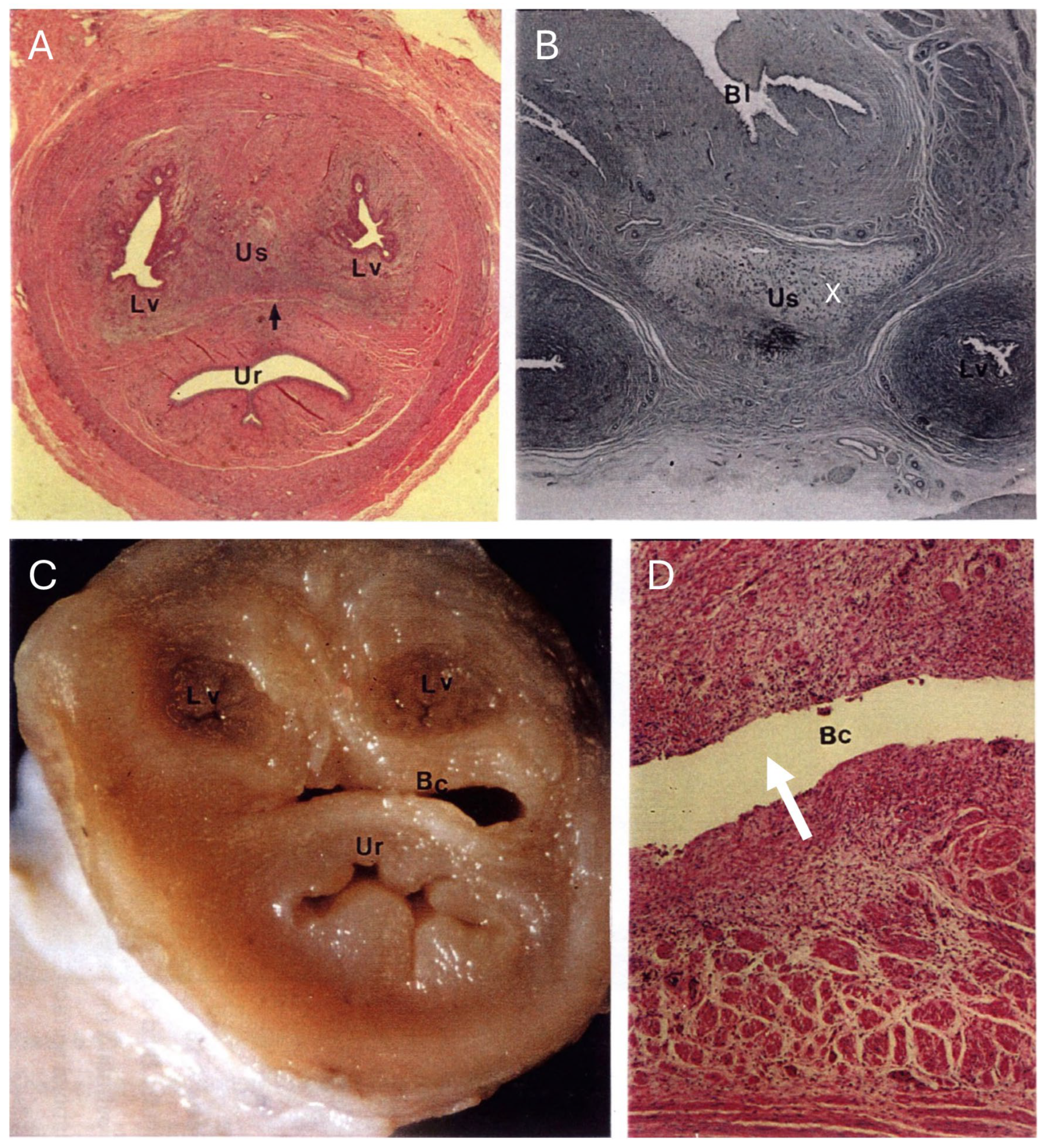 Biology 12 01445 g013