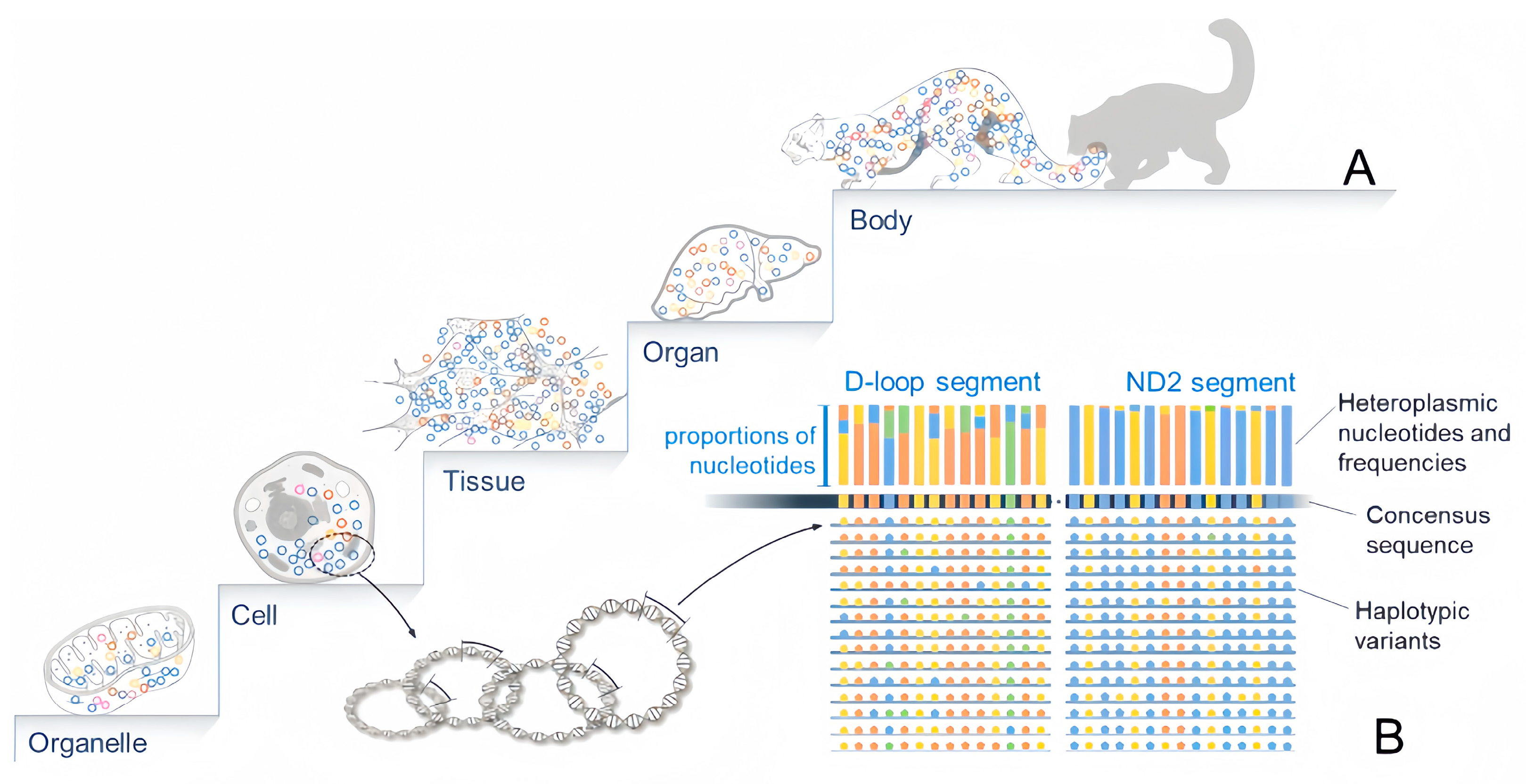Biology 12 01452 g001 Biology 12 01452 g001
