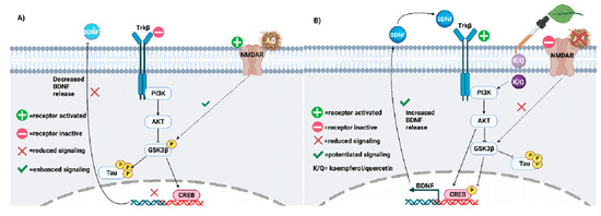 Polyherbal and Multimodal Treatments: Kaempferol- and