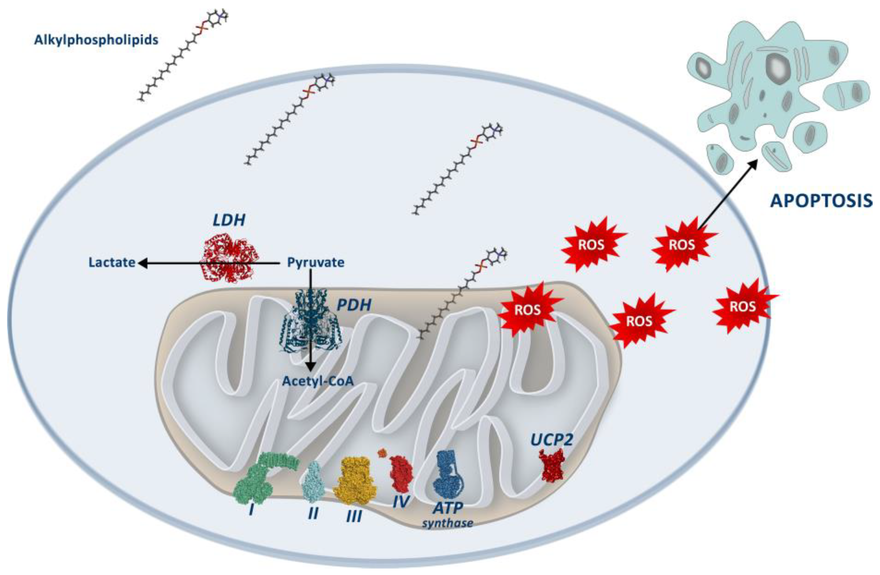 Biology 12 01457 g007