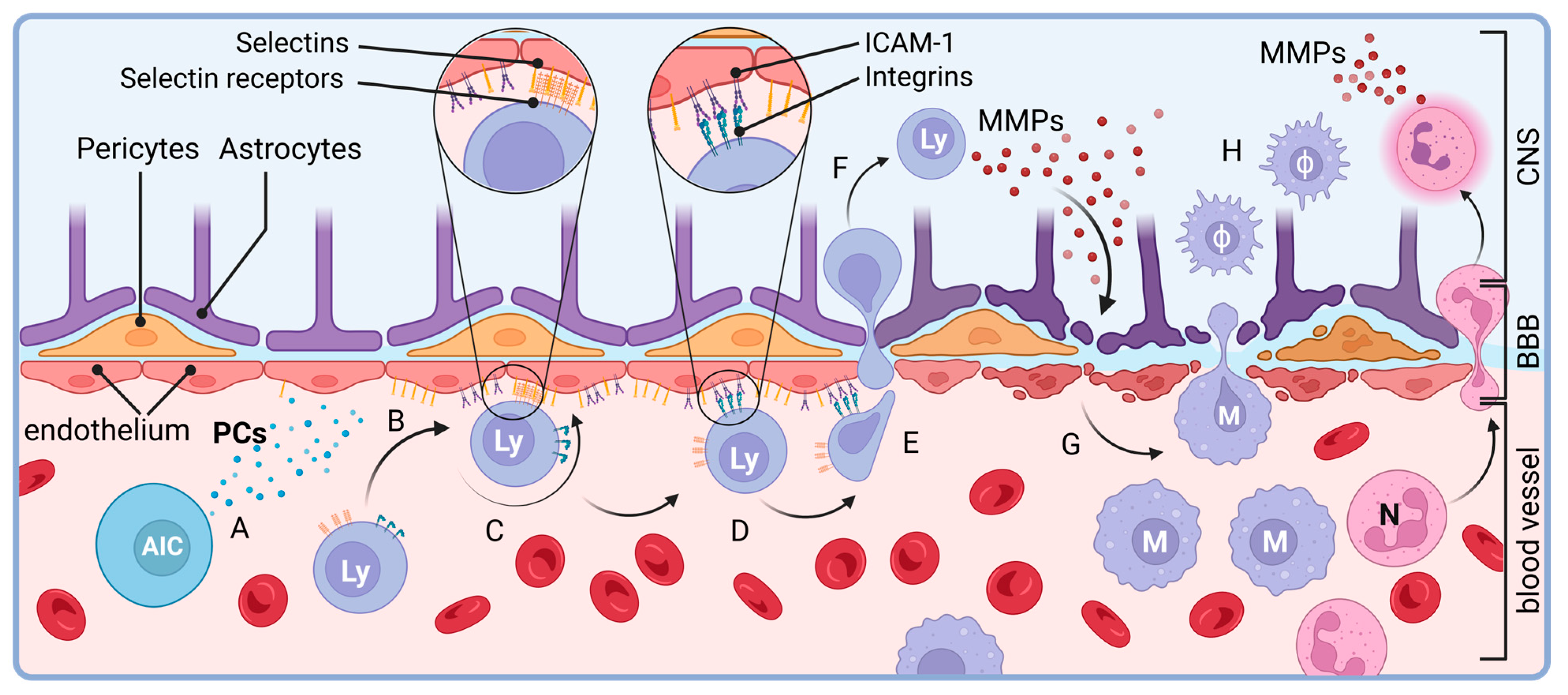 Biology 12 01463 g002