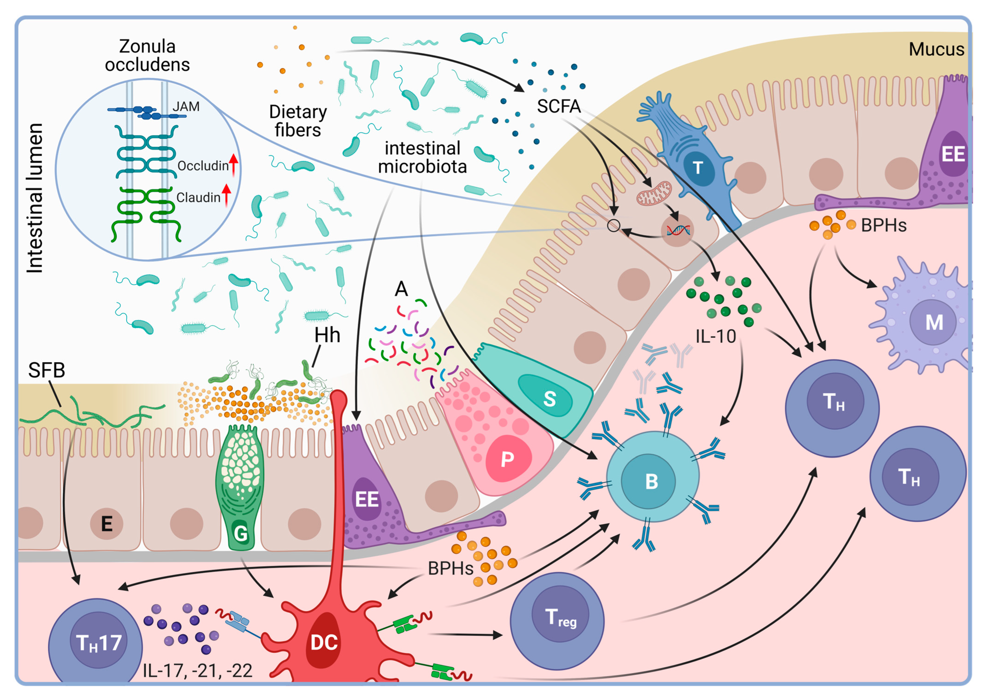 Biology 12 01463 g003