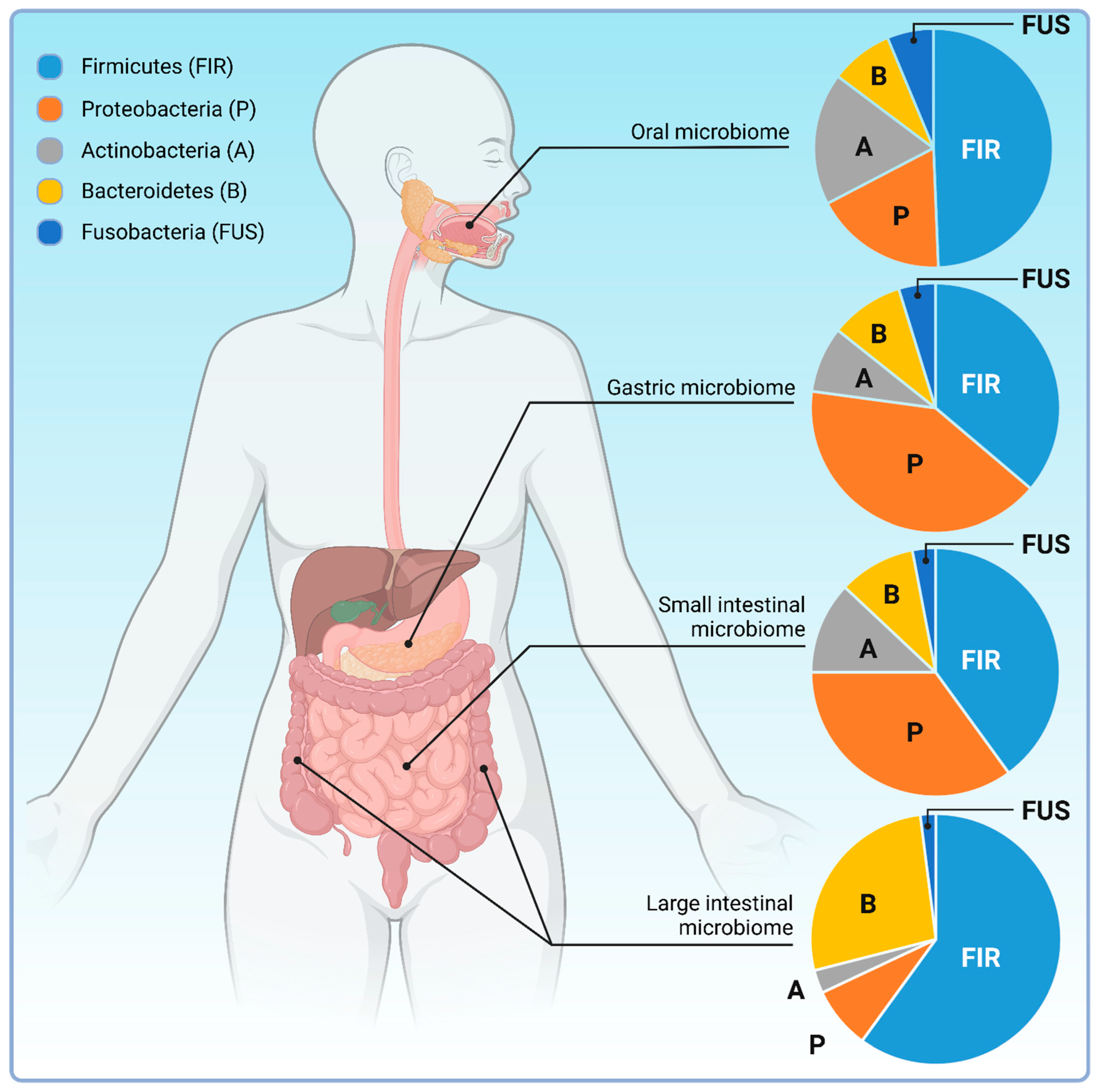 Biology 12 01463 g004
