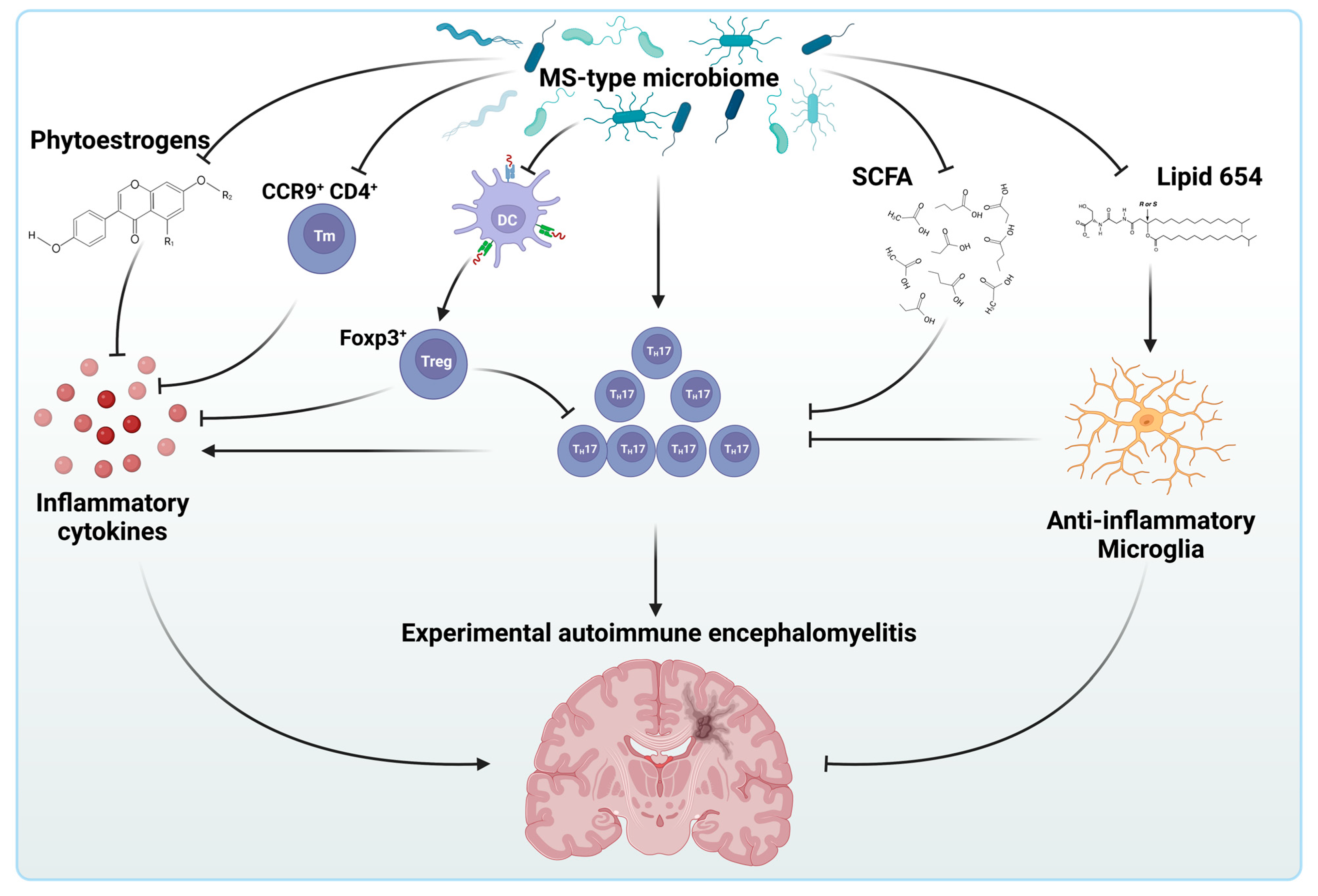 Biology 12 01463 g005