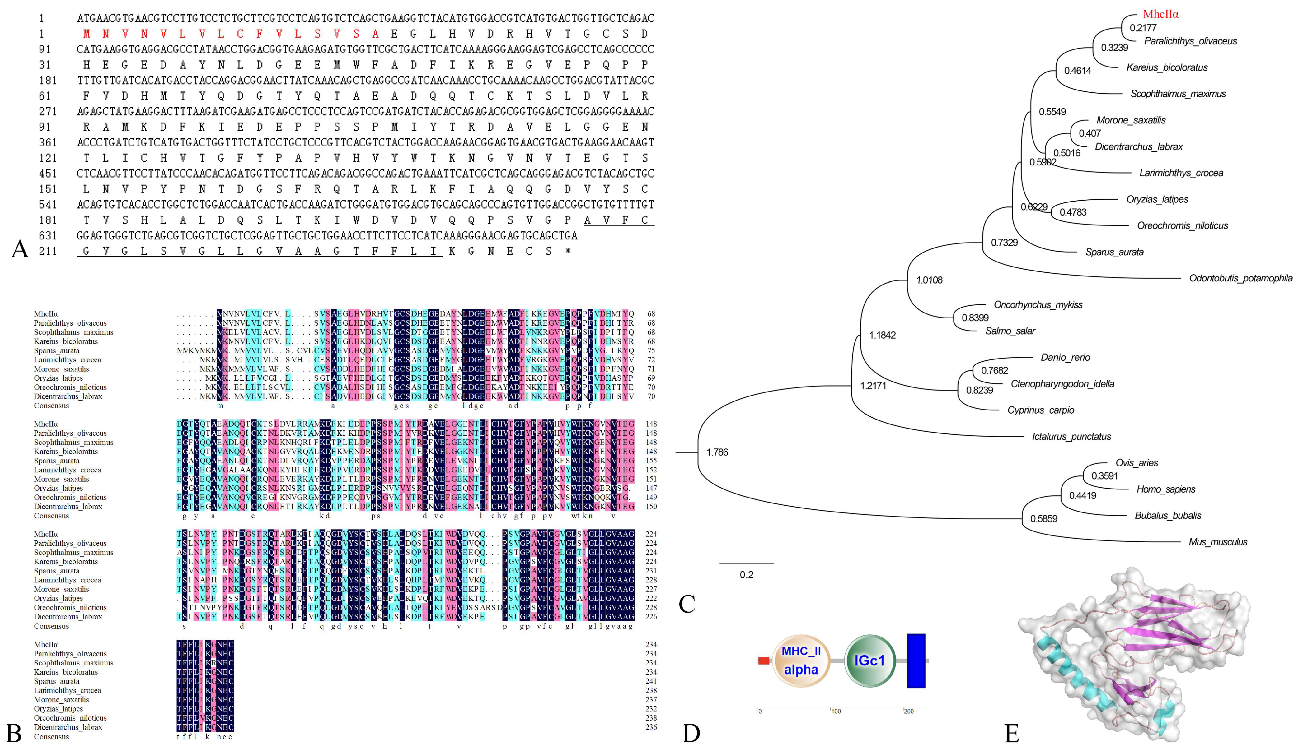 Biology 12 01464 g001
