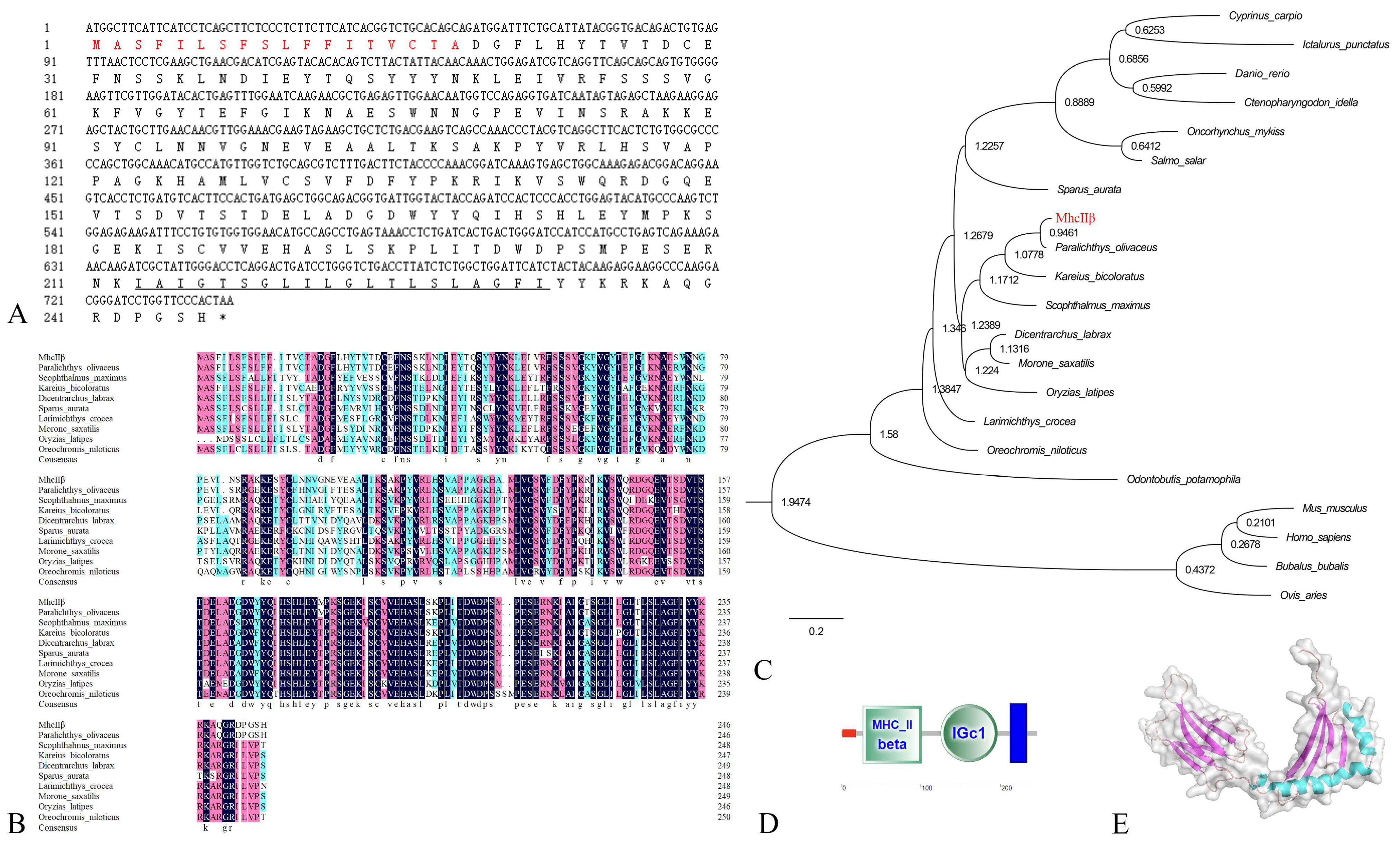 Biology 12 01464 g002