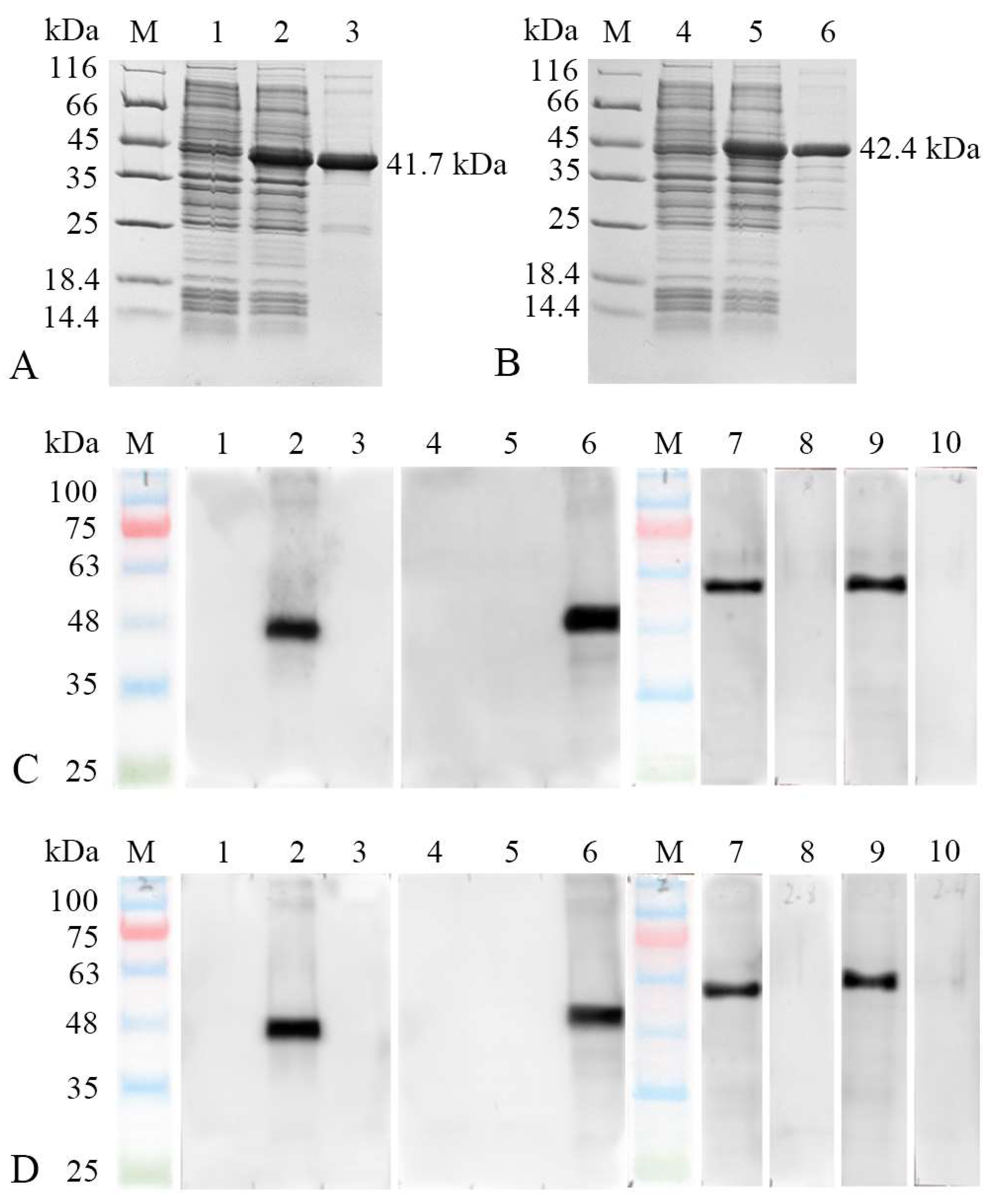 Biology 12 01464 g004