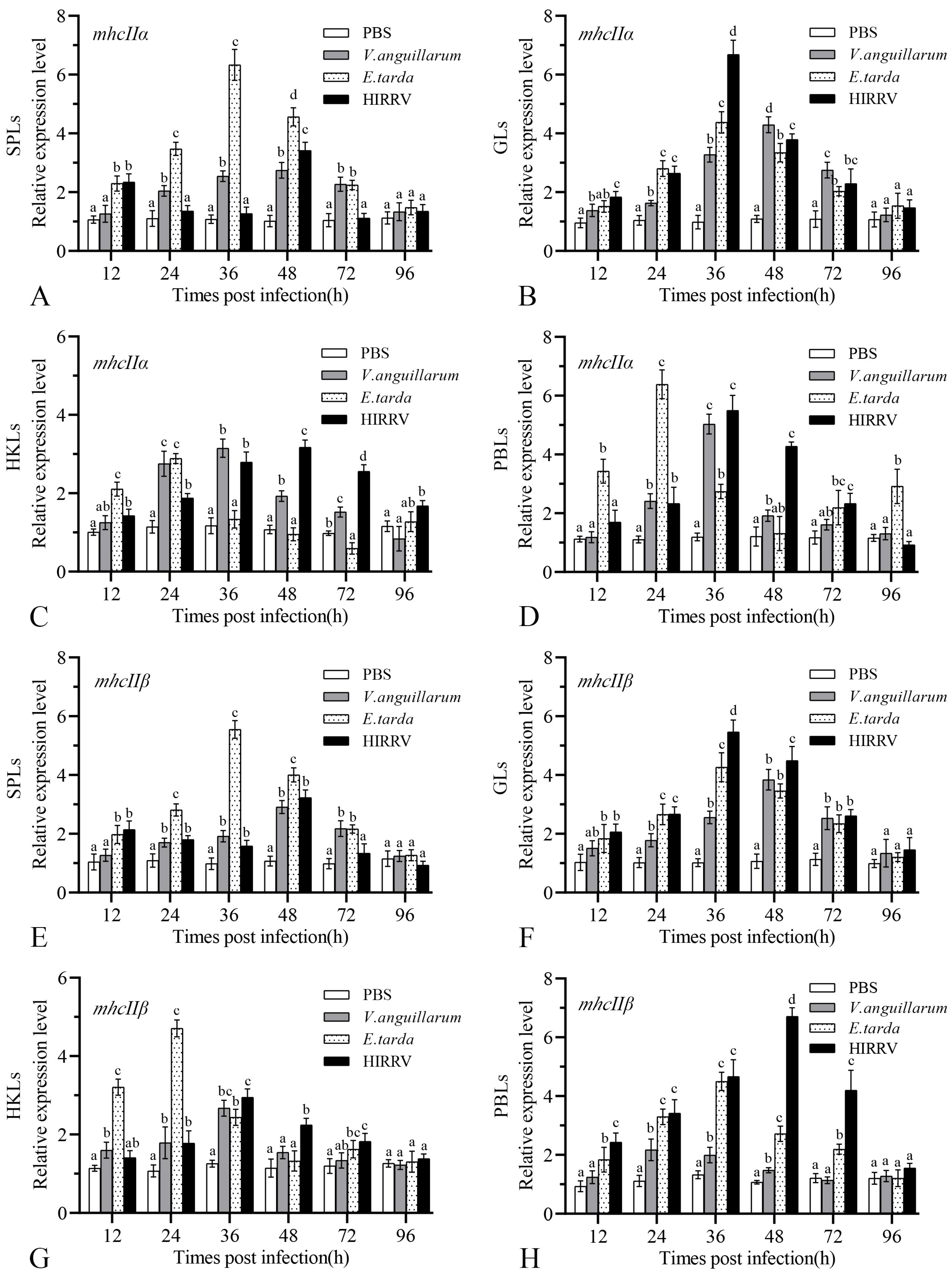 Biology 12 01464 g008