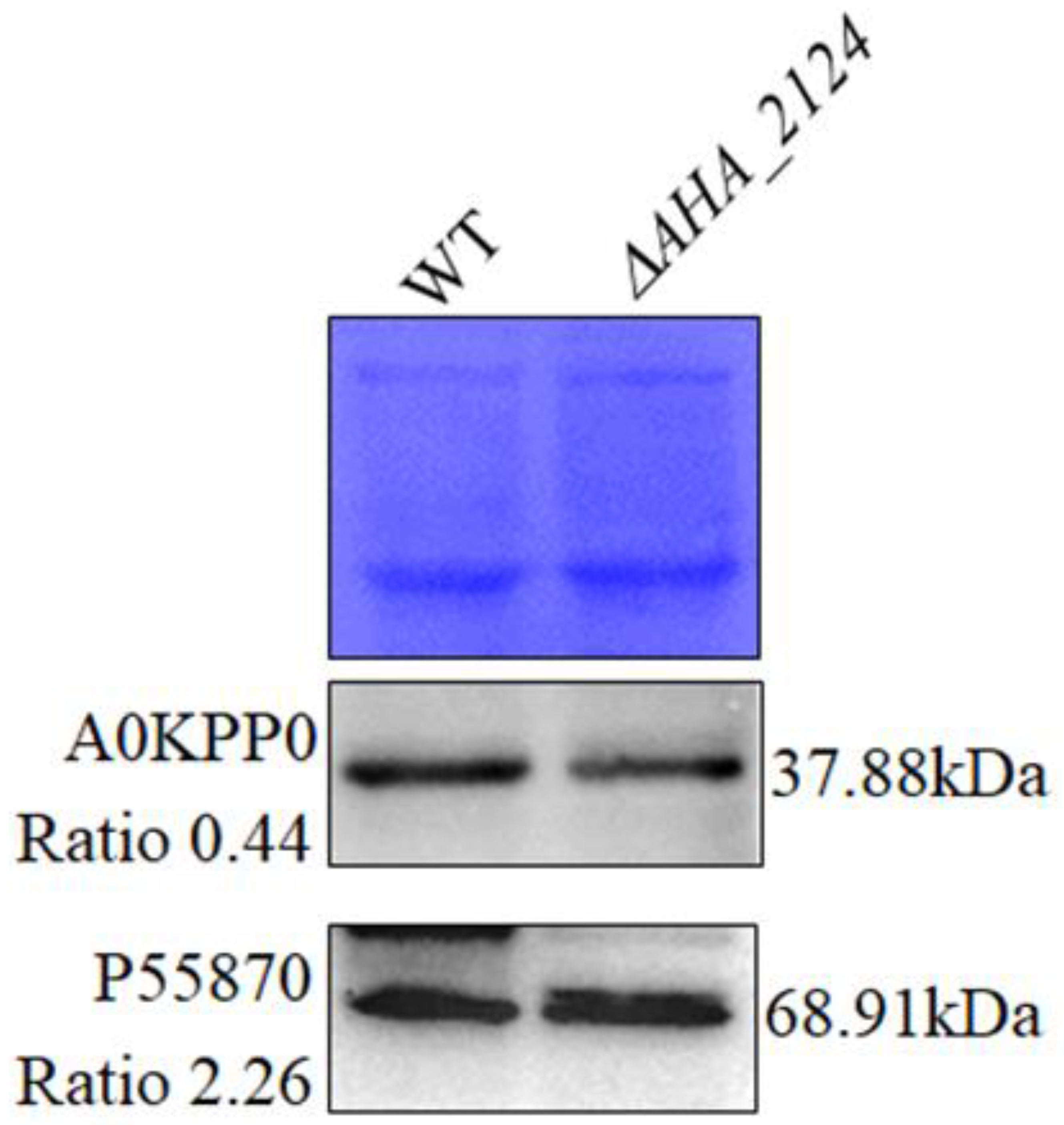 Biology 12 01473 g003