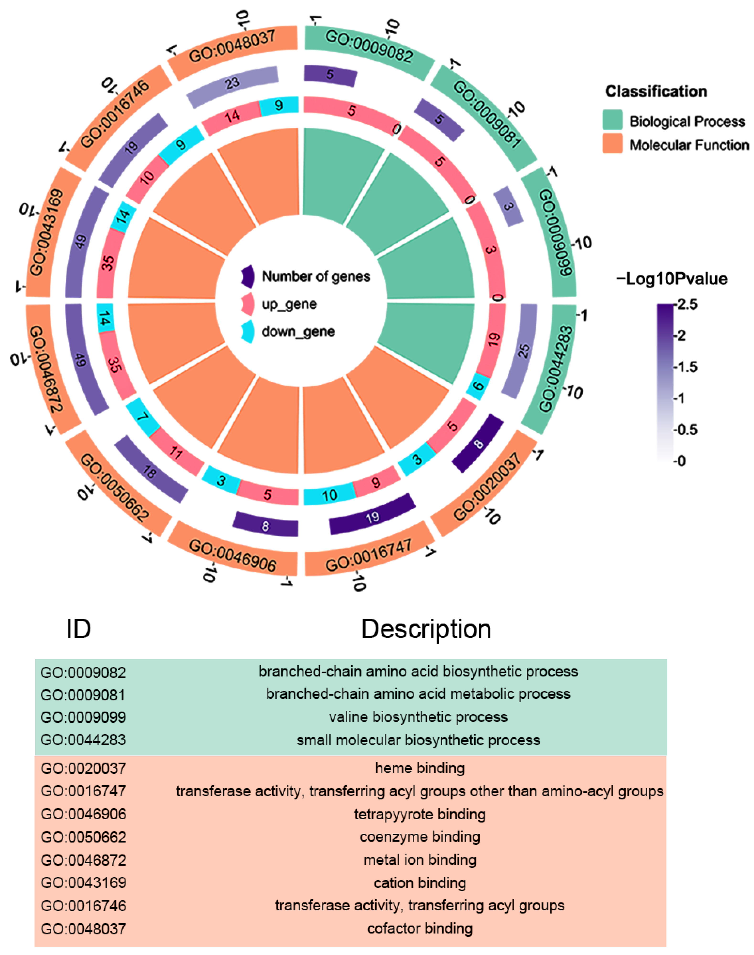 Biology 12 01473 g004