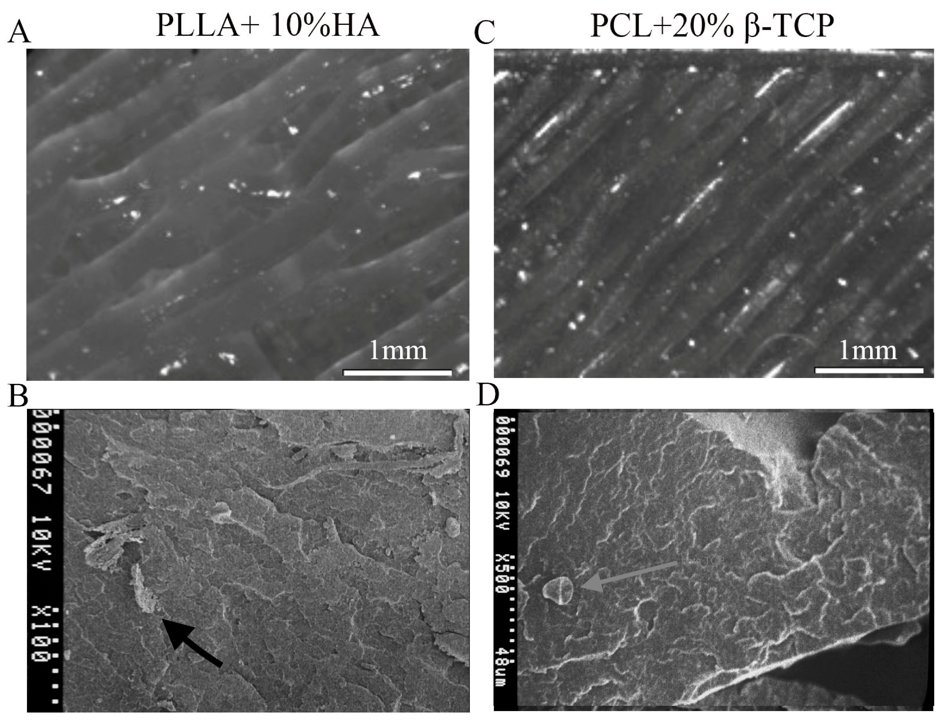 Biology 12 01474 g002