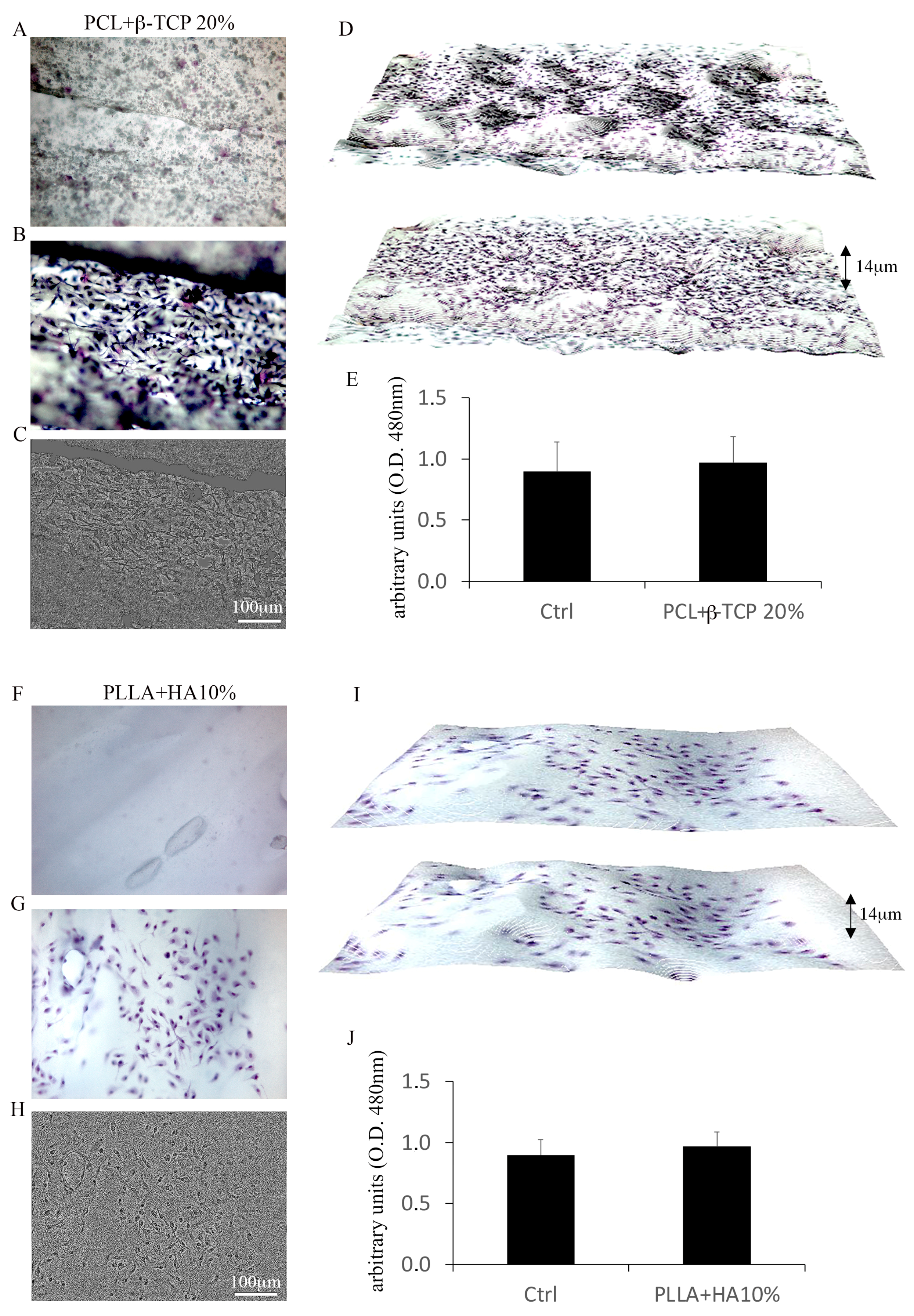 Biology 12 01474 g003