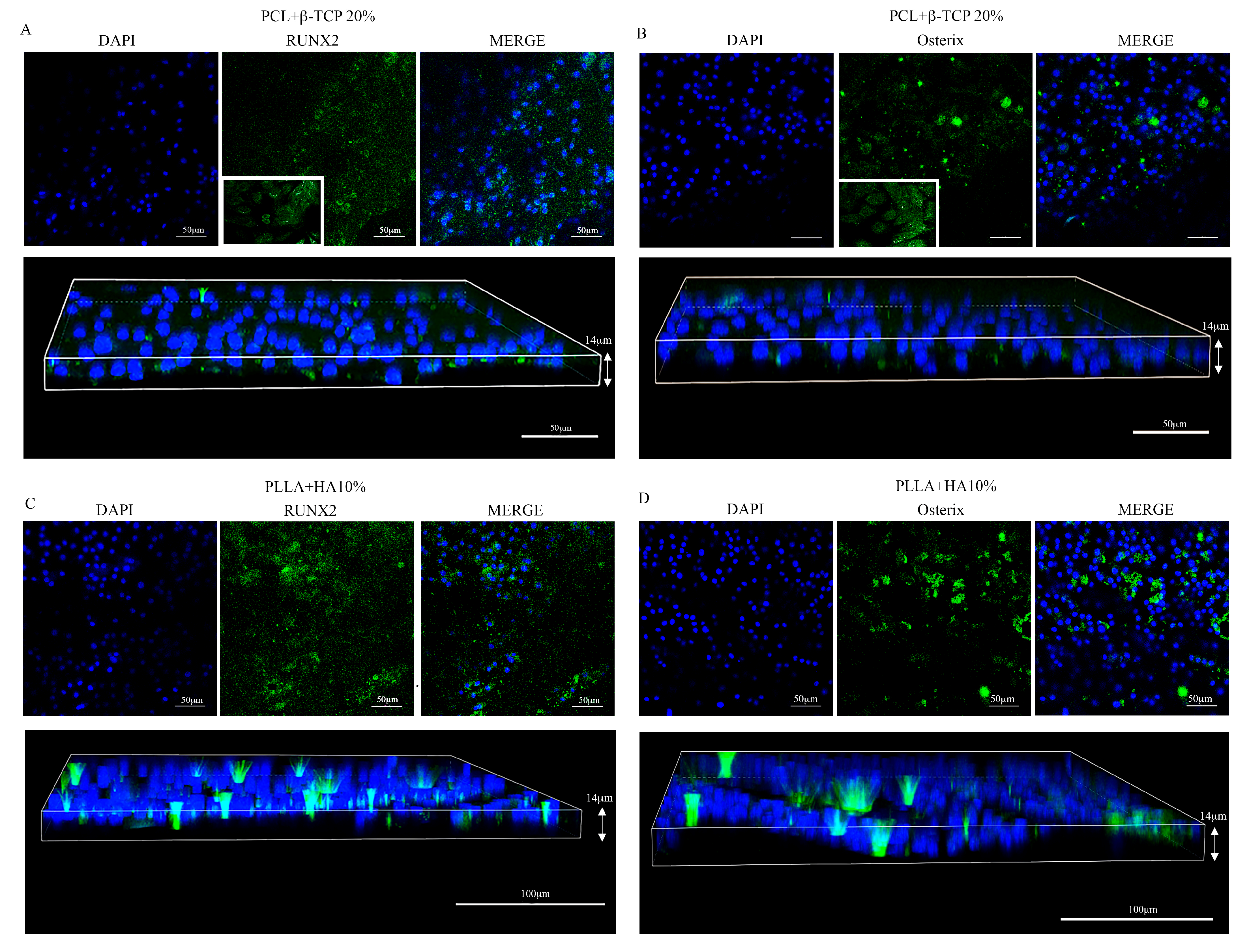 Biology 12 01474 g006