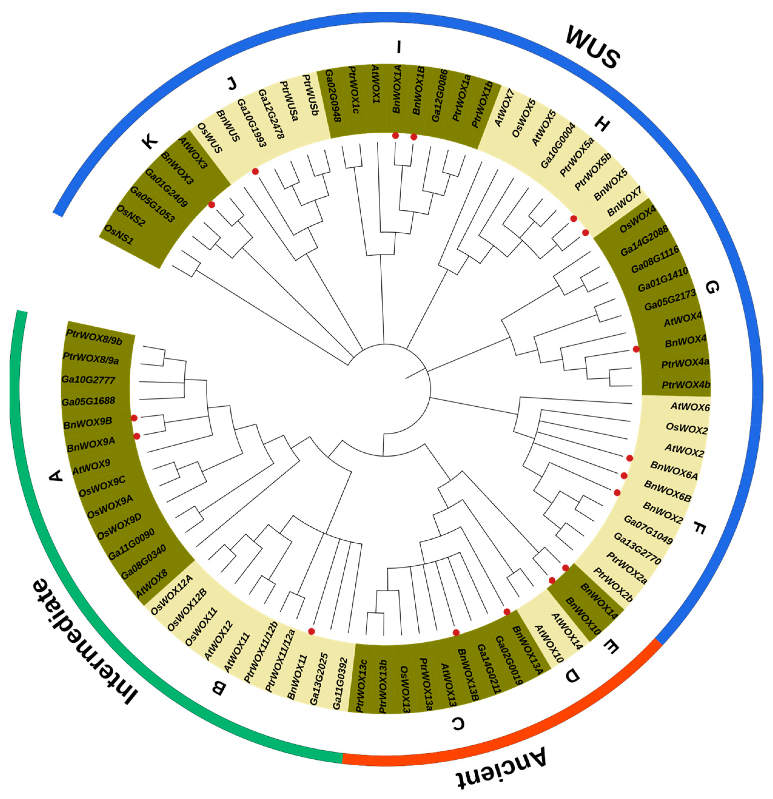 Biology 12 01475 g001