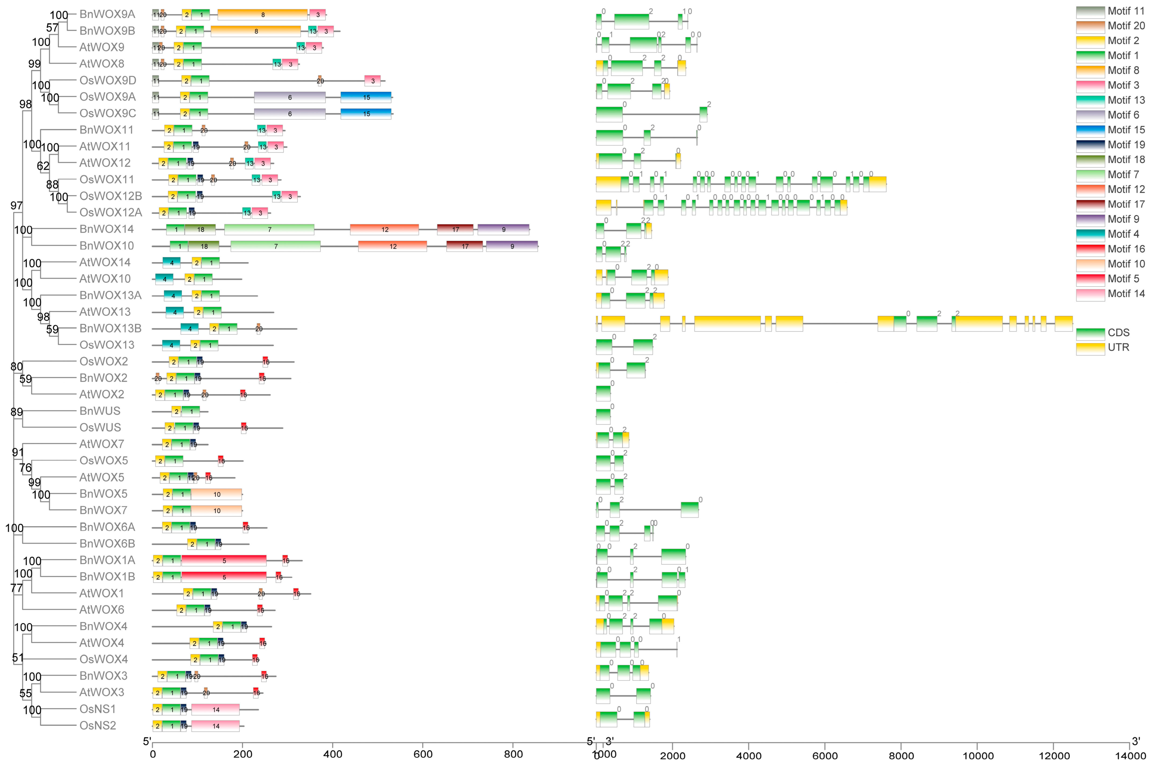 Biology 12 01475 g002
