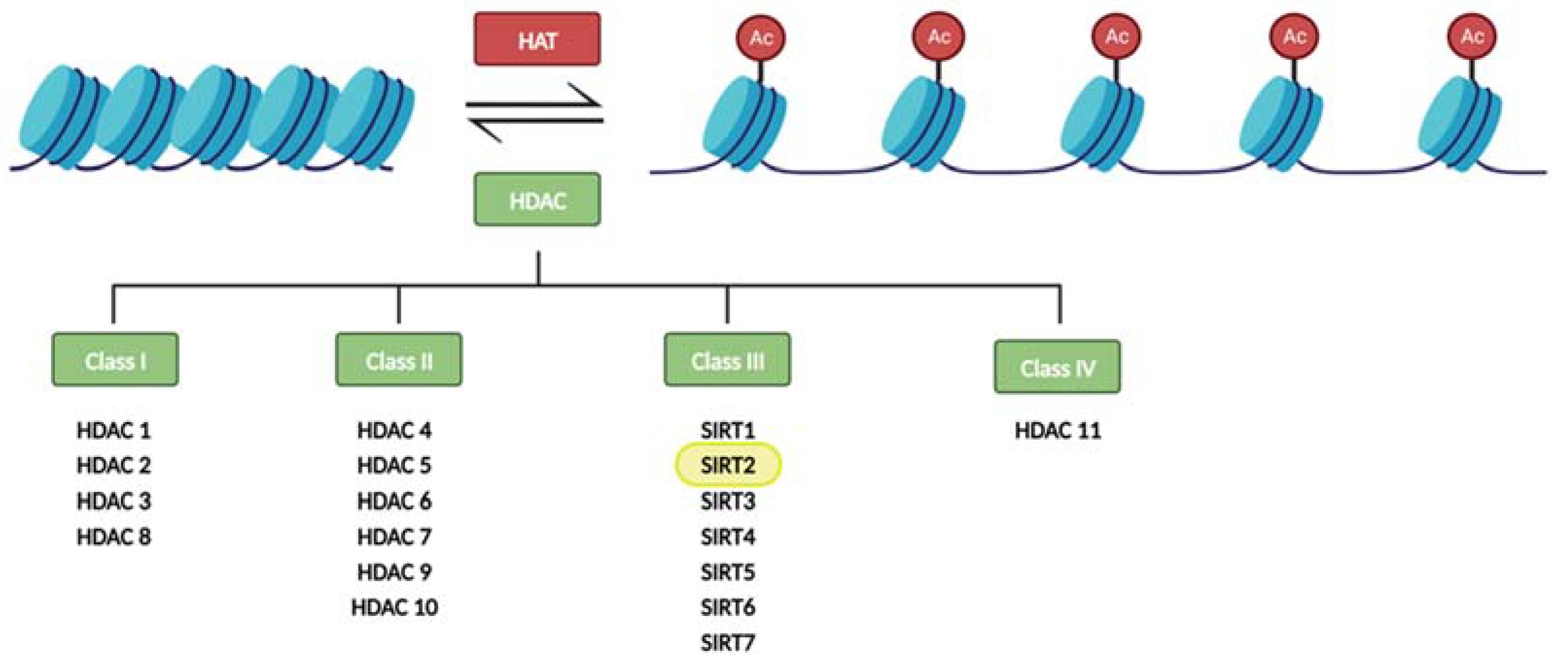 Biology 12 01476 g001