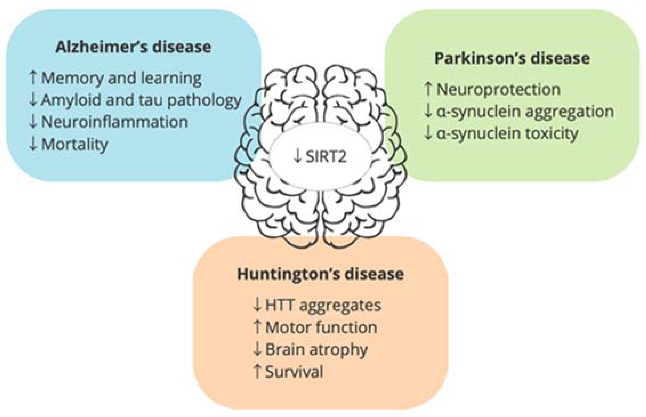 Biology 12 01476 g002