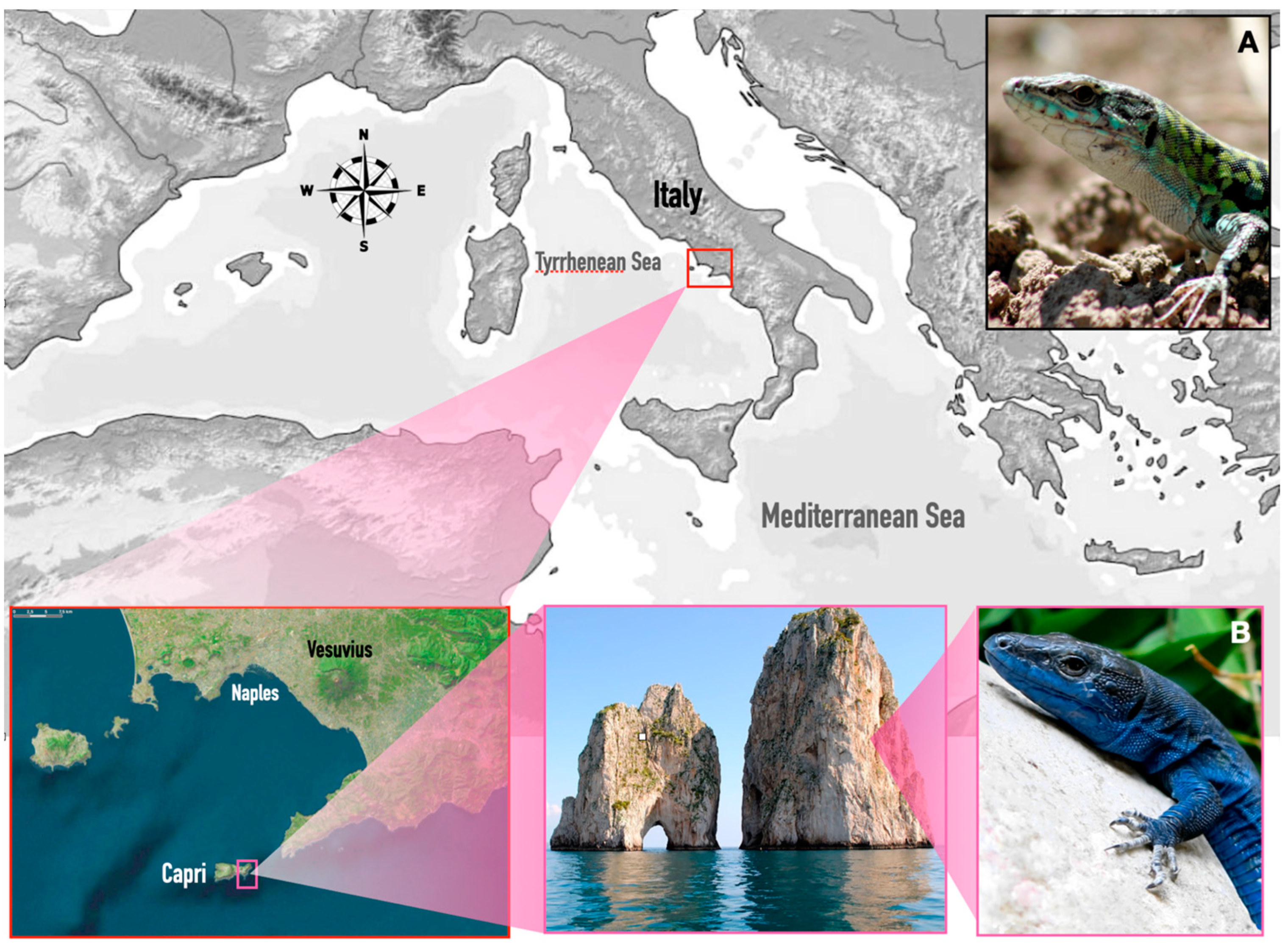 Biology 12 01478 g001 Biology 12 01478 g001