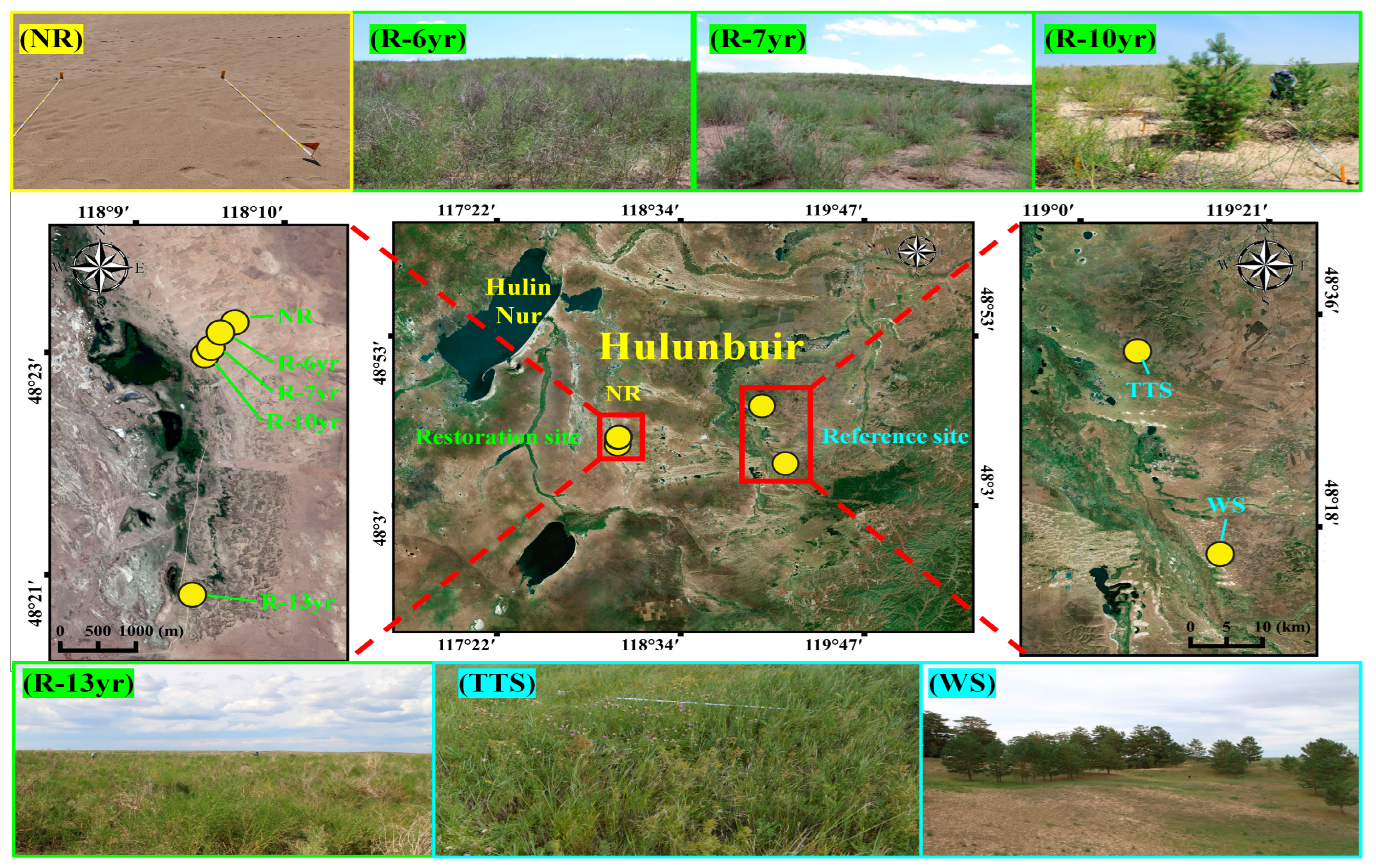 Biology 12 01479 g002 Biology 12 01479 g002