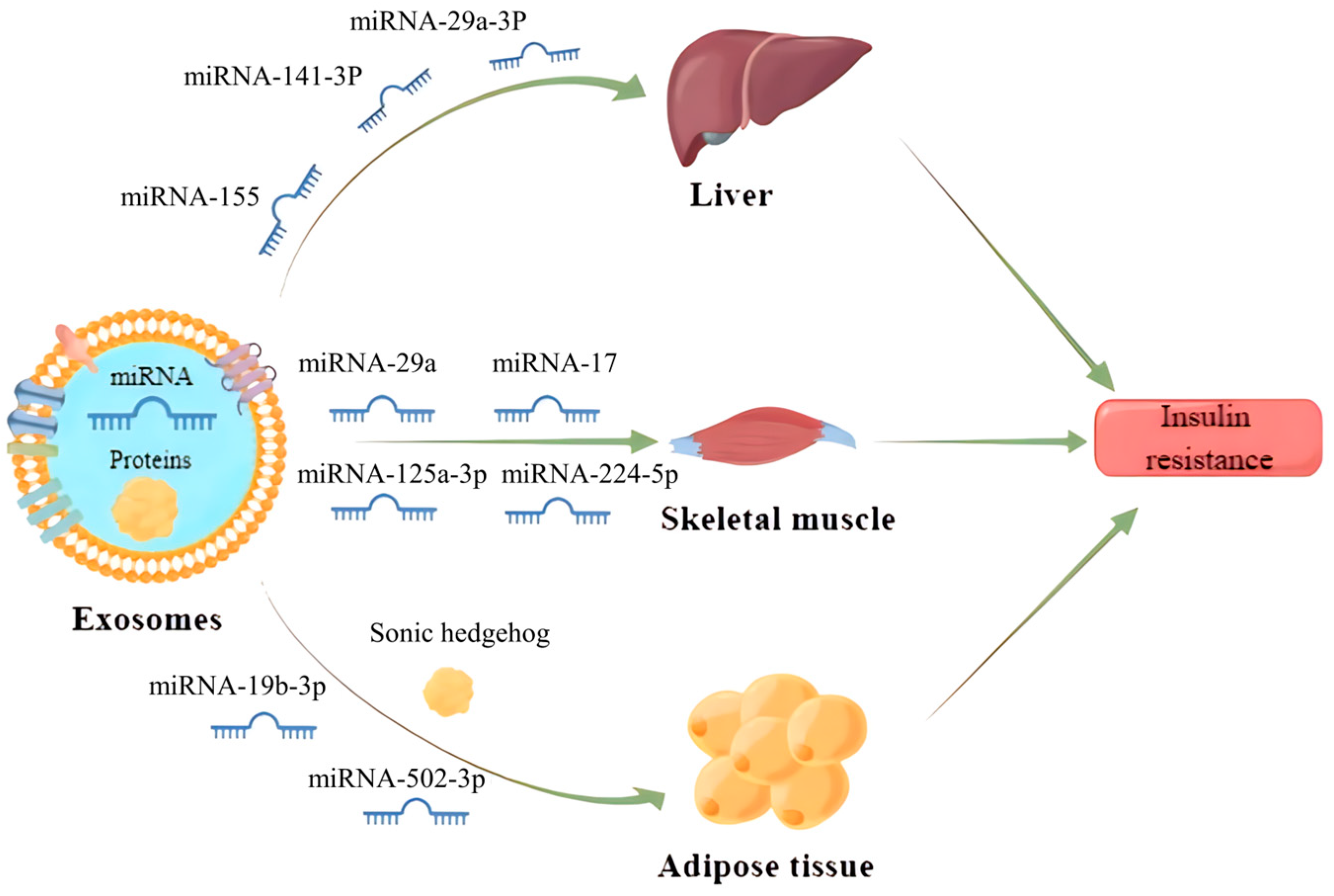 Biology 12 01480 g003