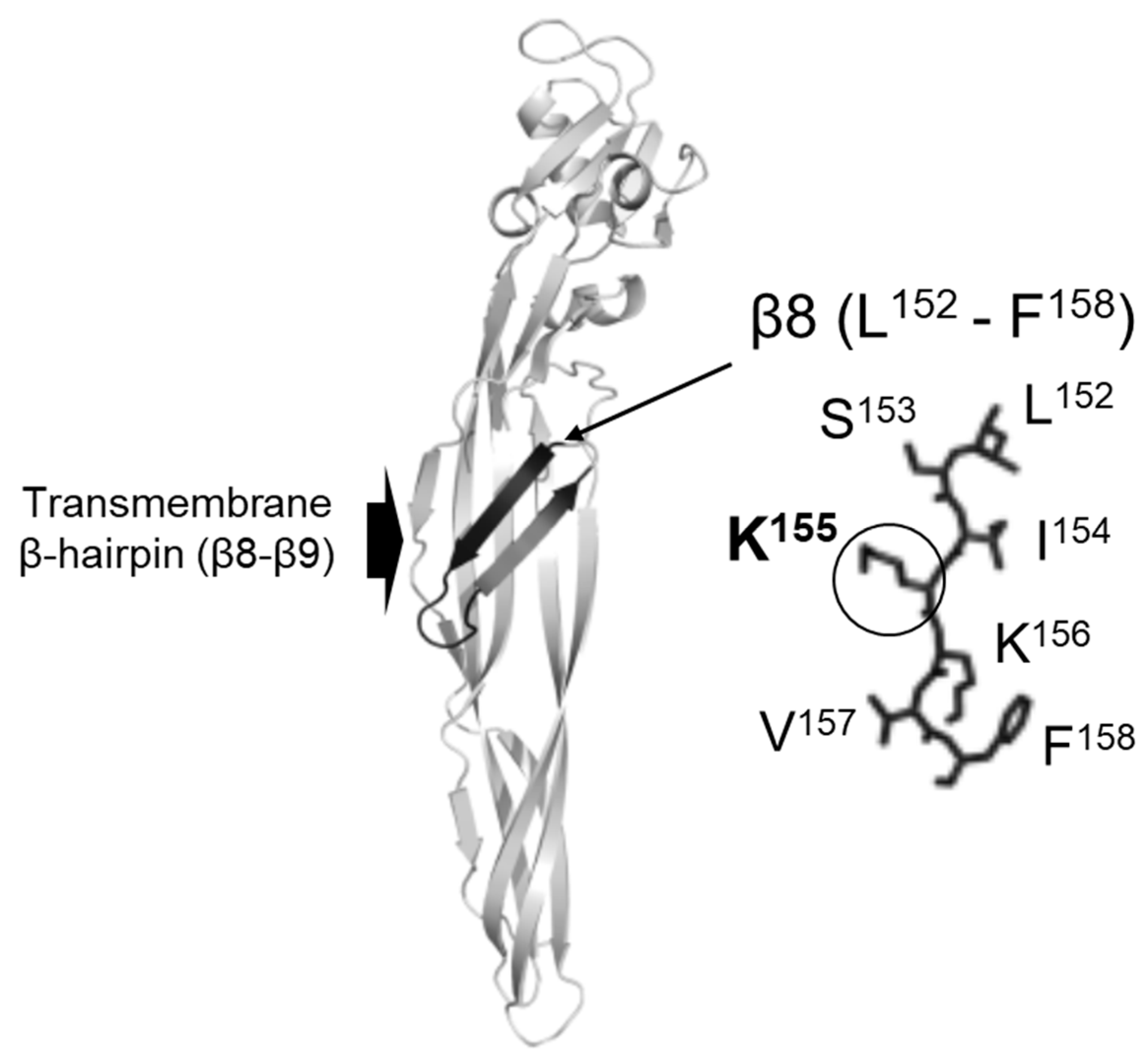 Biology 12 01481 g001