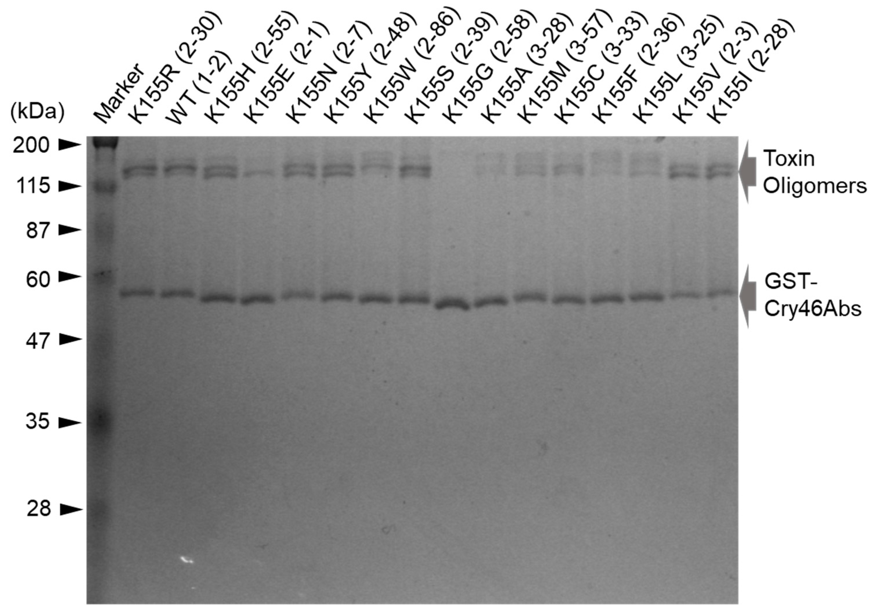 Biology 12 01481 g003