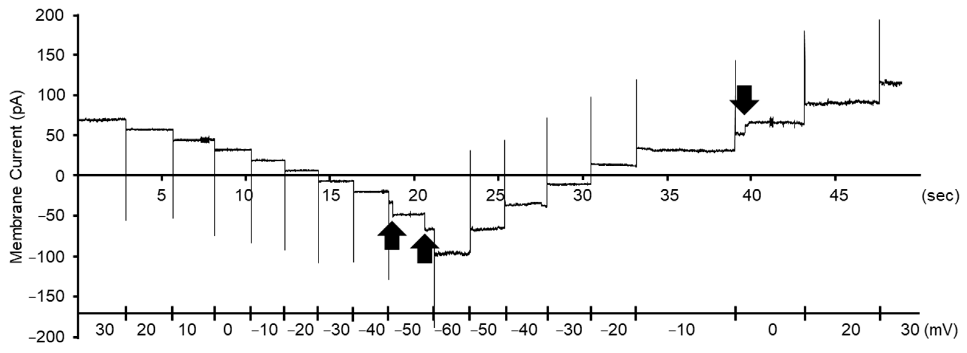Biology 12 01481 g004